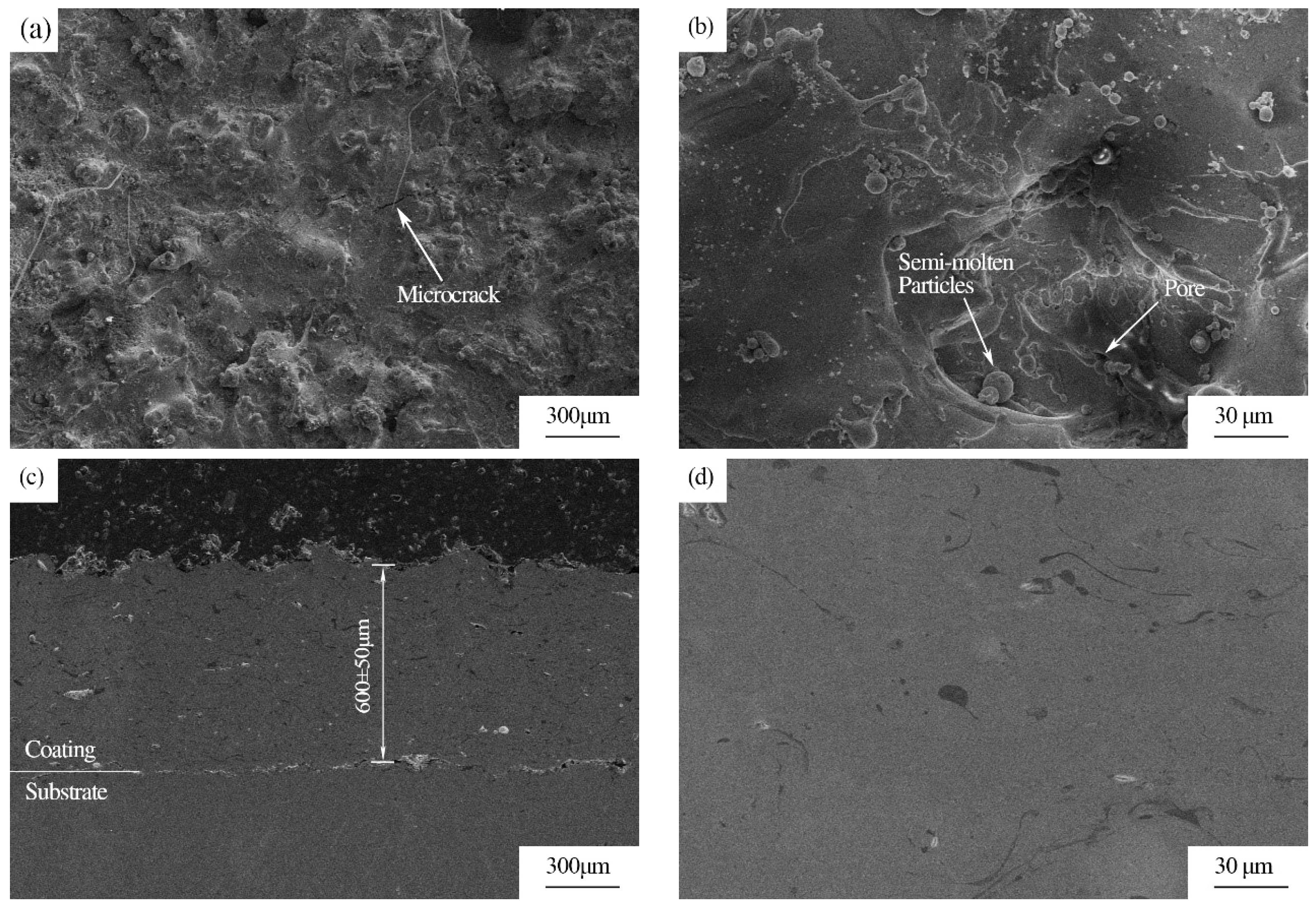 Coatings 14 00428 g005