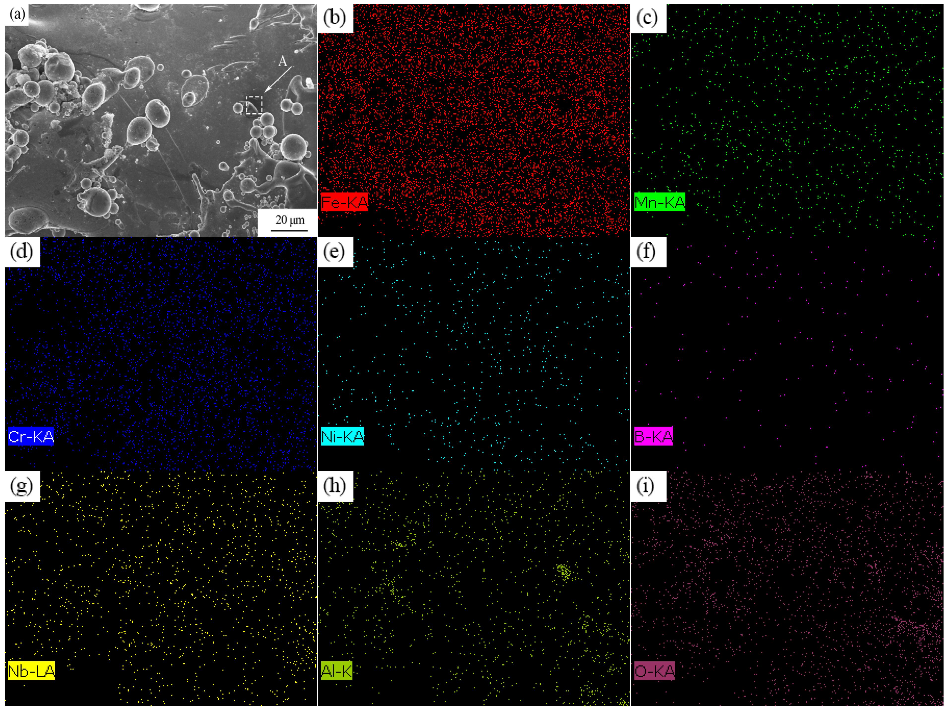 Coatings 14 00428 g006