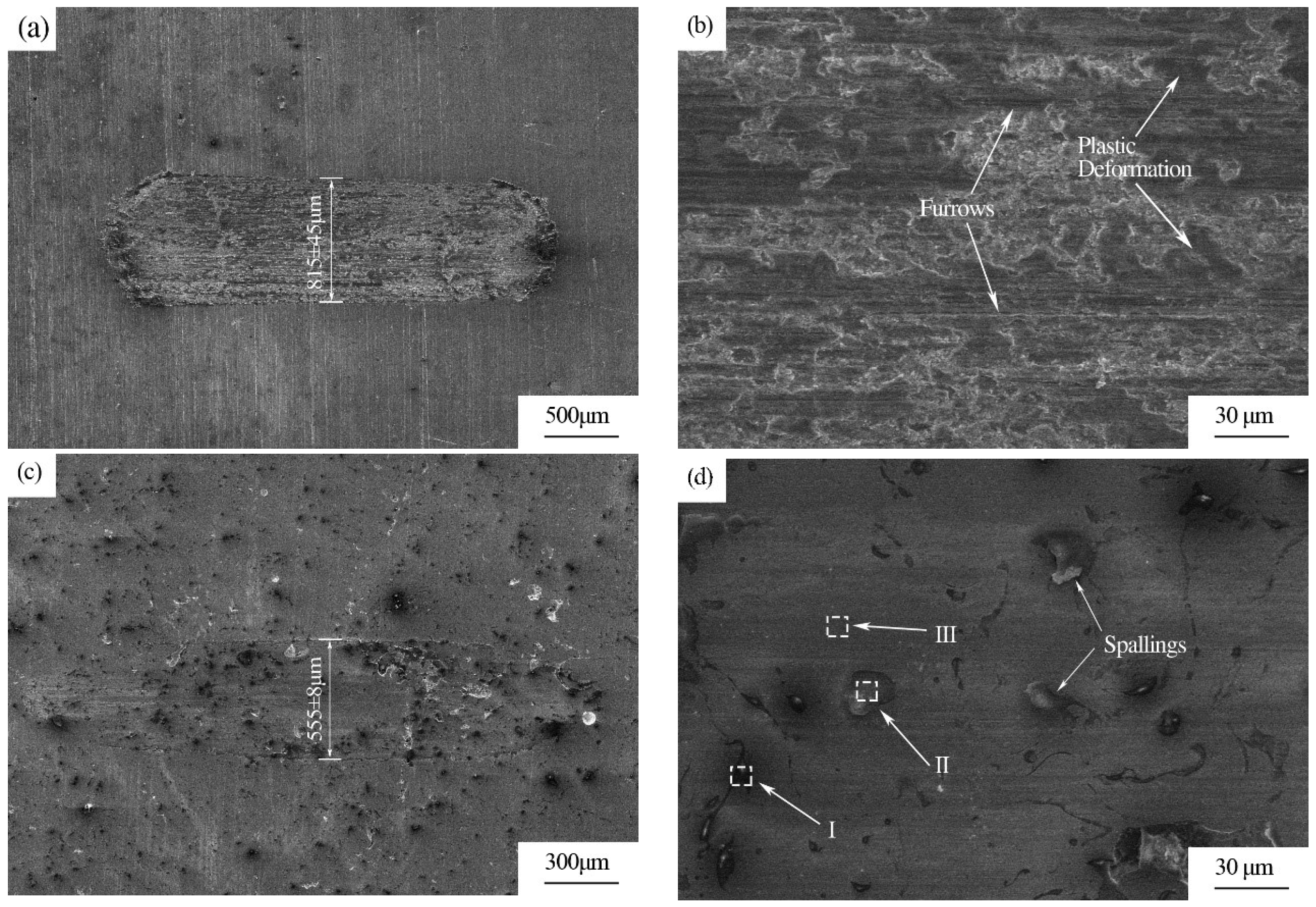 Coatings 14 00428 g011
