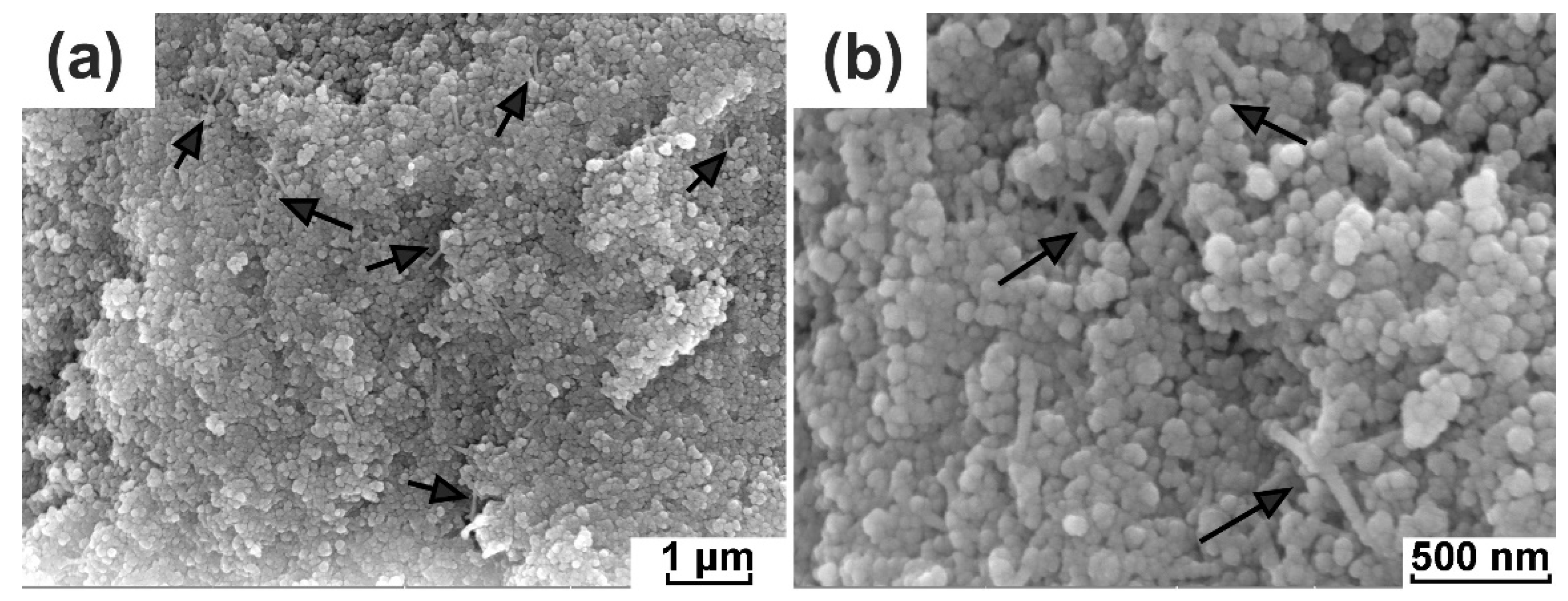 Coatings 14 00504 g003