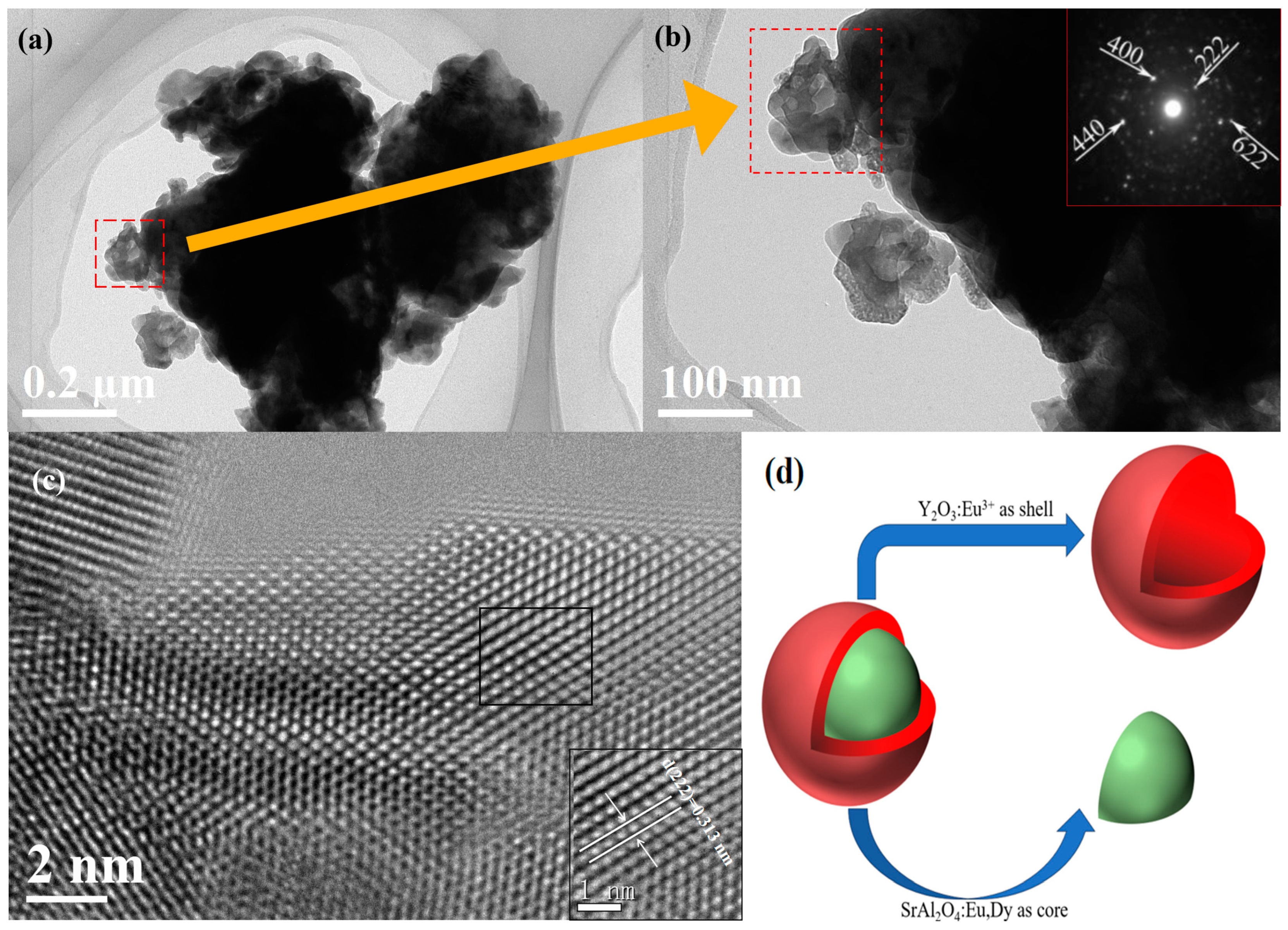 Coatings 14 00509 g002