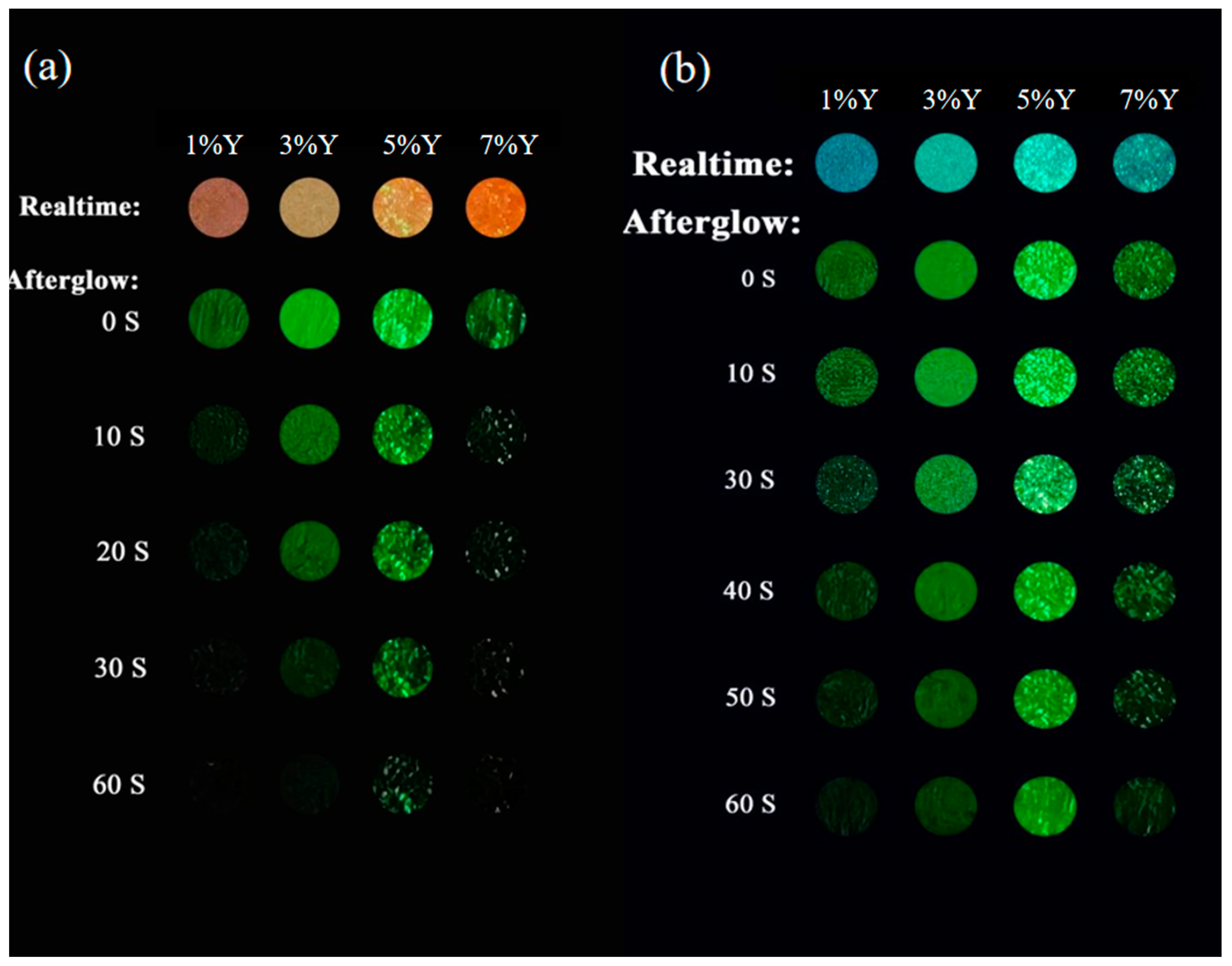 Coatings 14 00509 g005