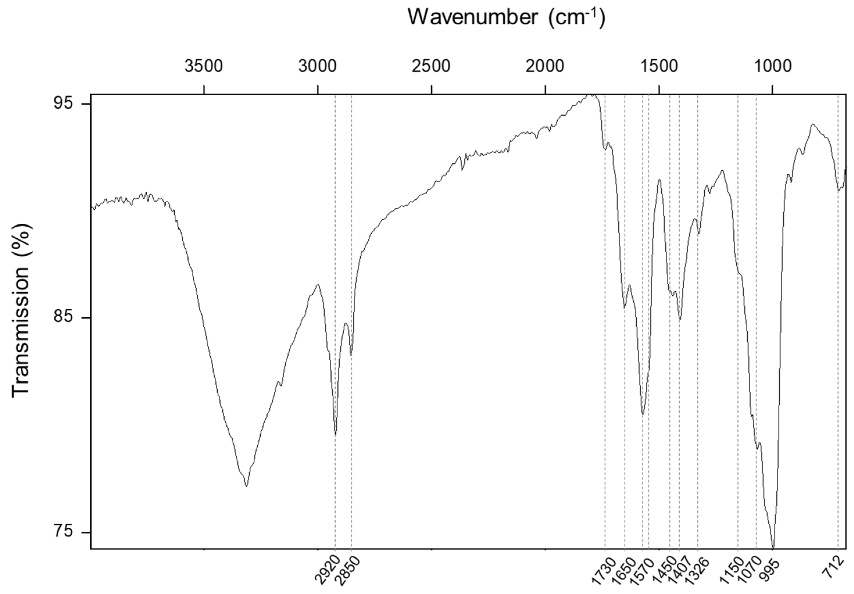 Coatings 14 00511 g008