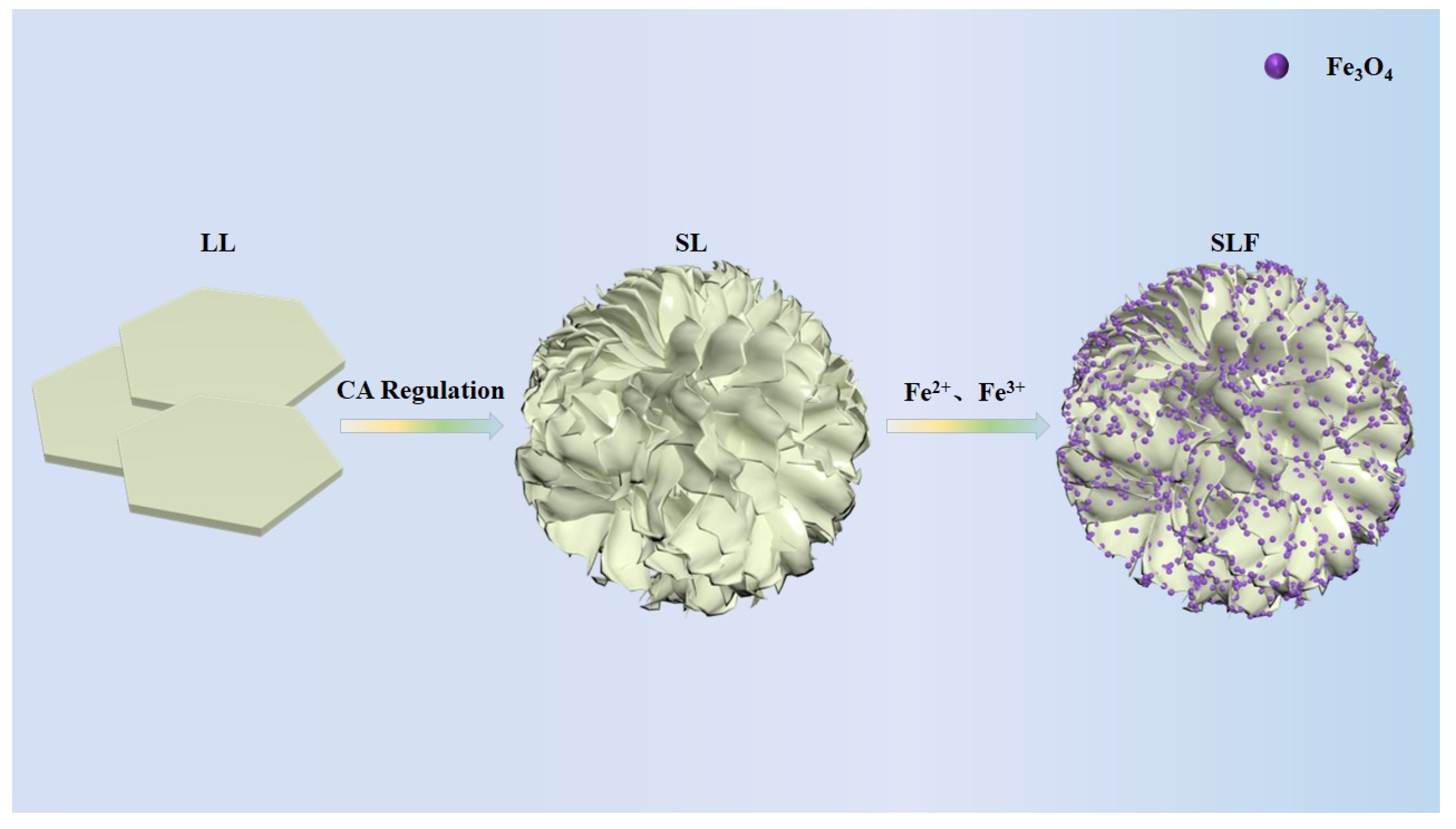Coatings 14 00514 g001