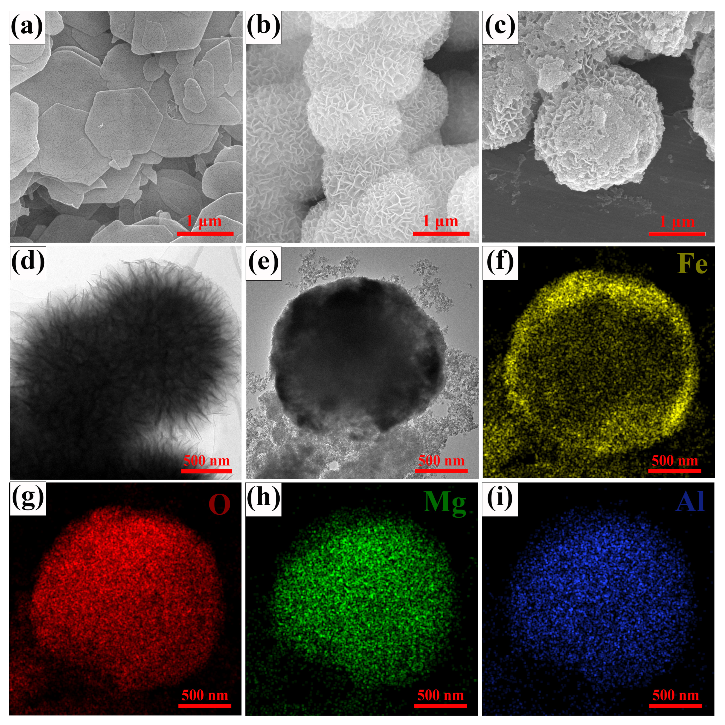 Coatings 14 00514 g005