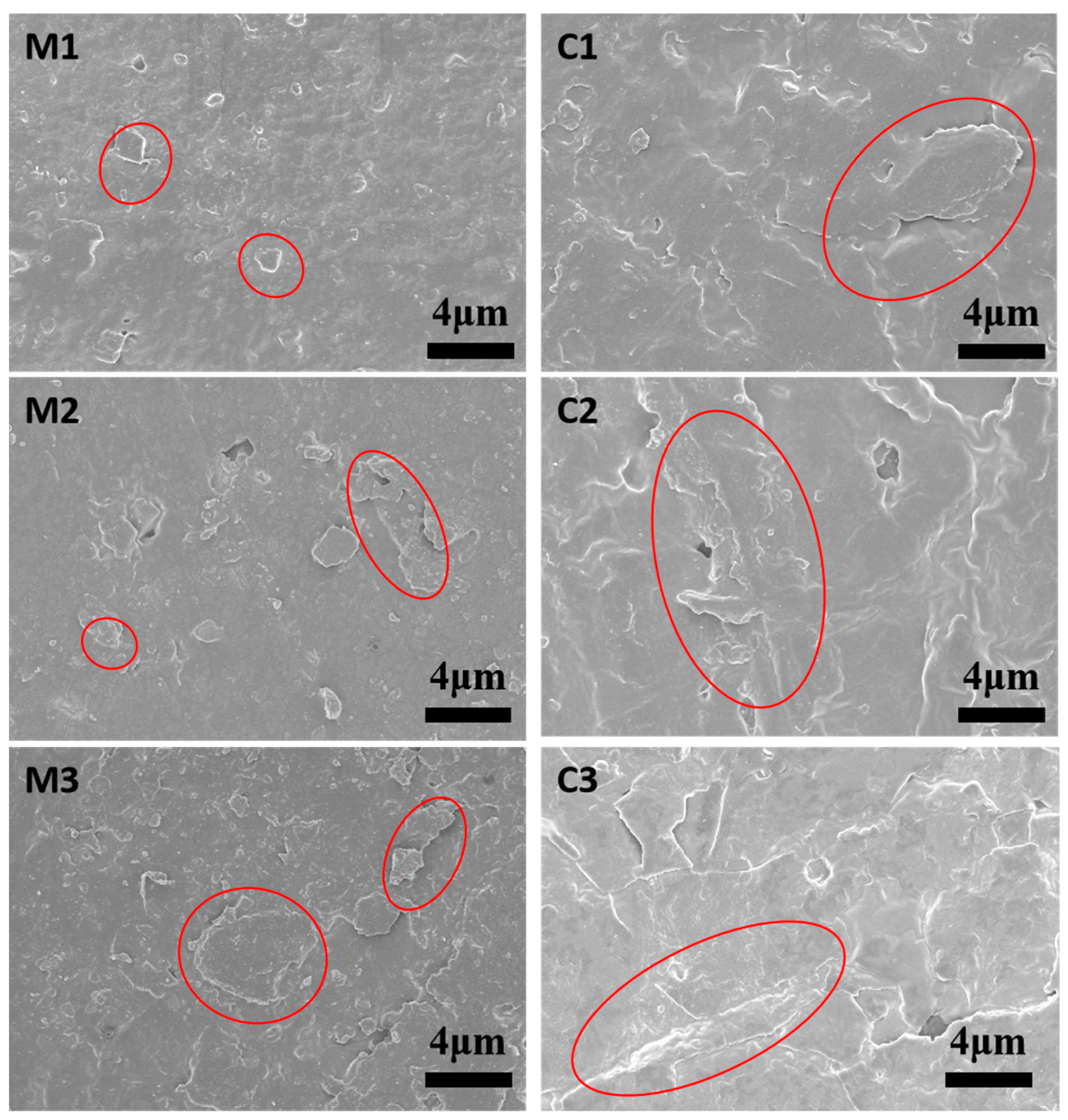 Coatings 14 00515 g002