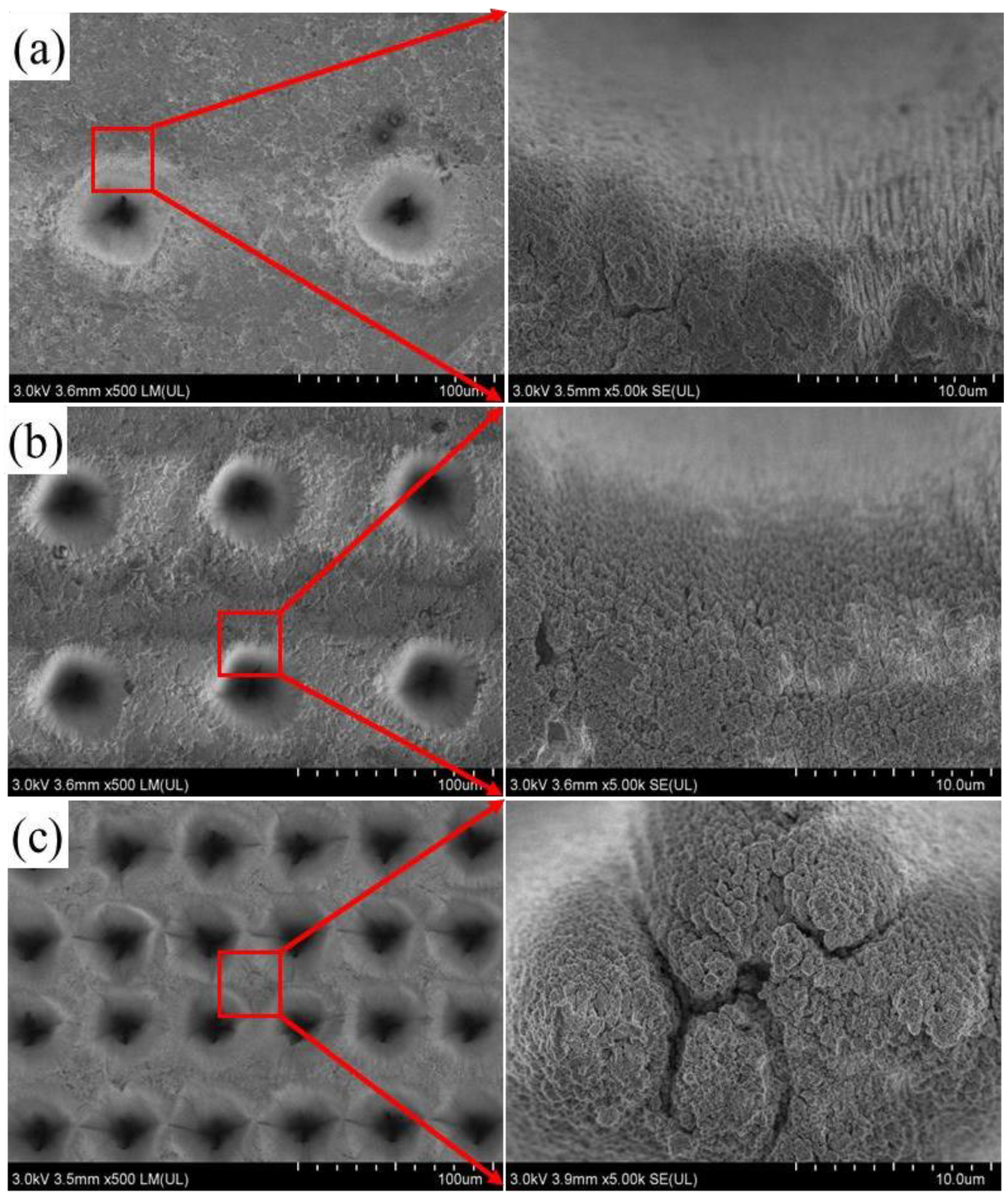 Coatings 14 00516 g002