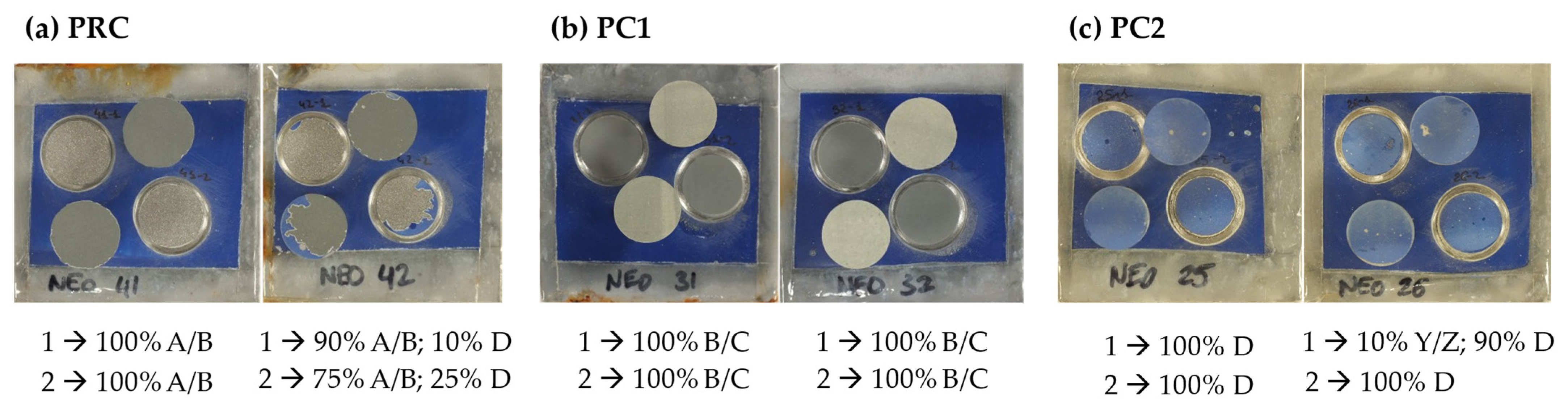 Coatings 14 00521 g010