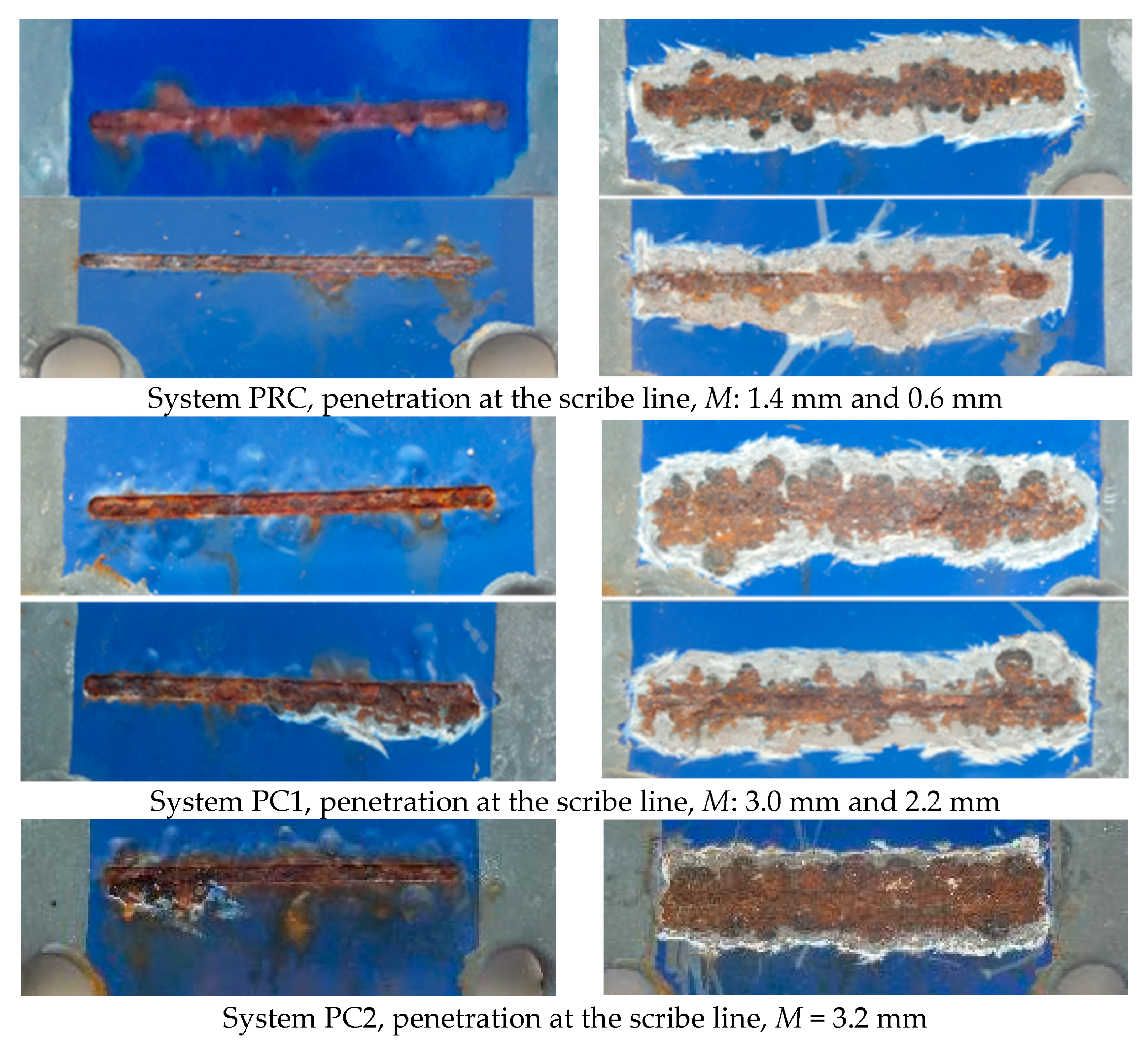 Coatings 14 00521 g013