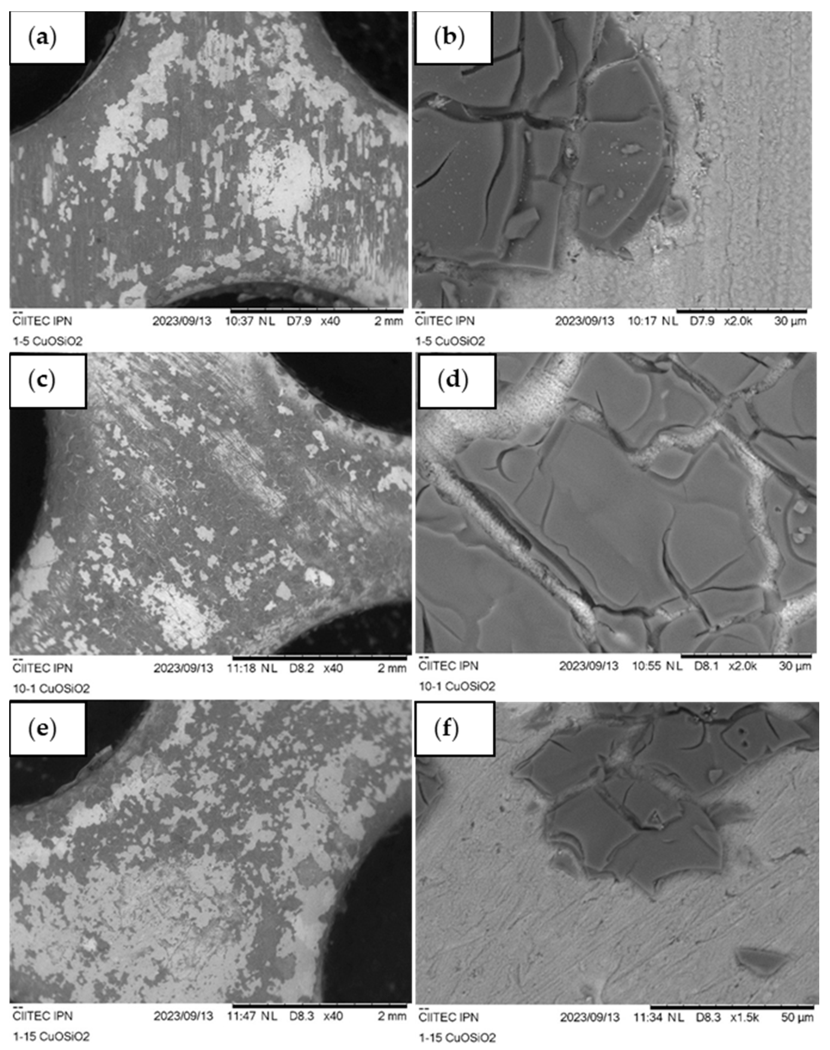 Coatings 14 00523 g007