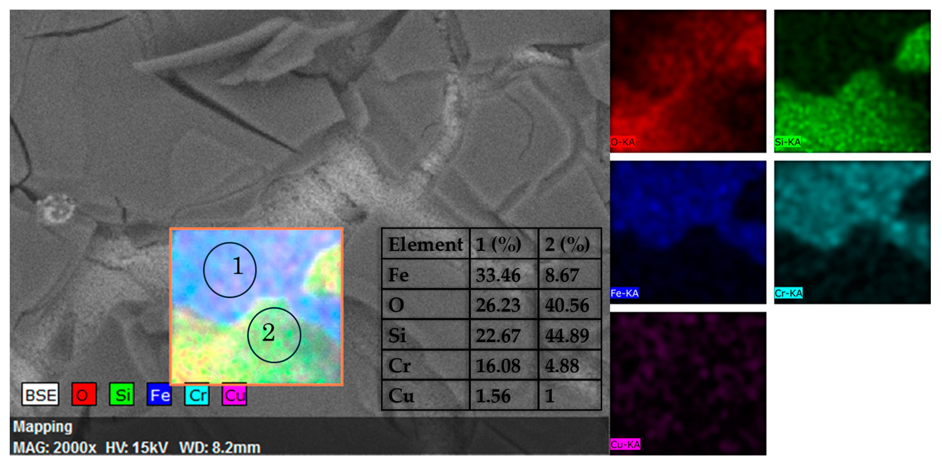 Coatings 14 00523 g008