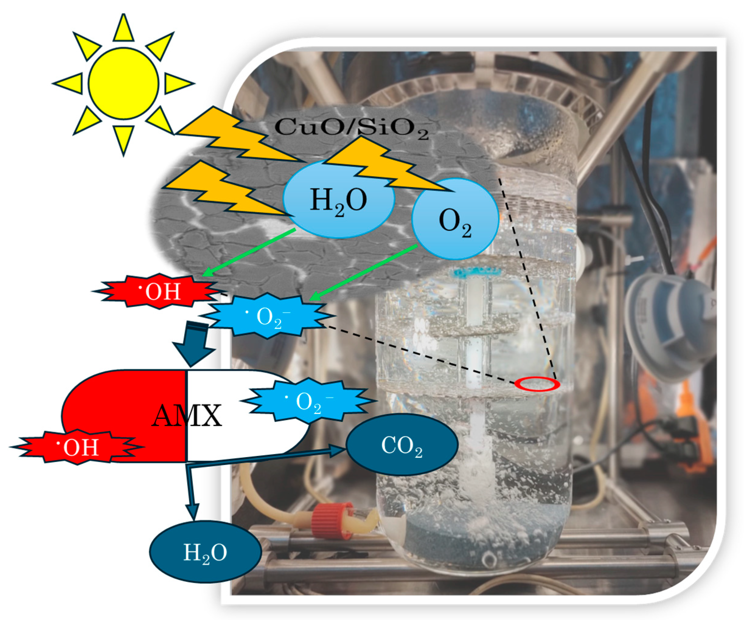 Coatings 14 00523 g013