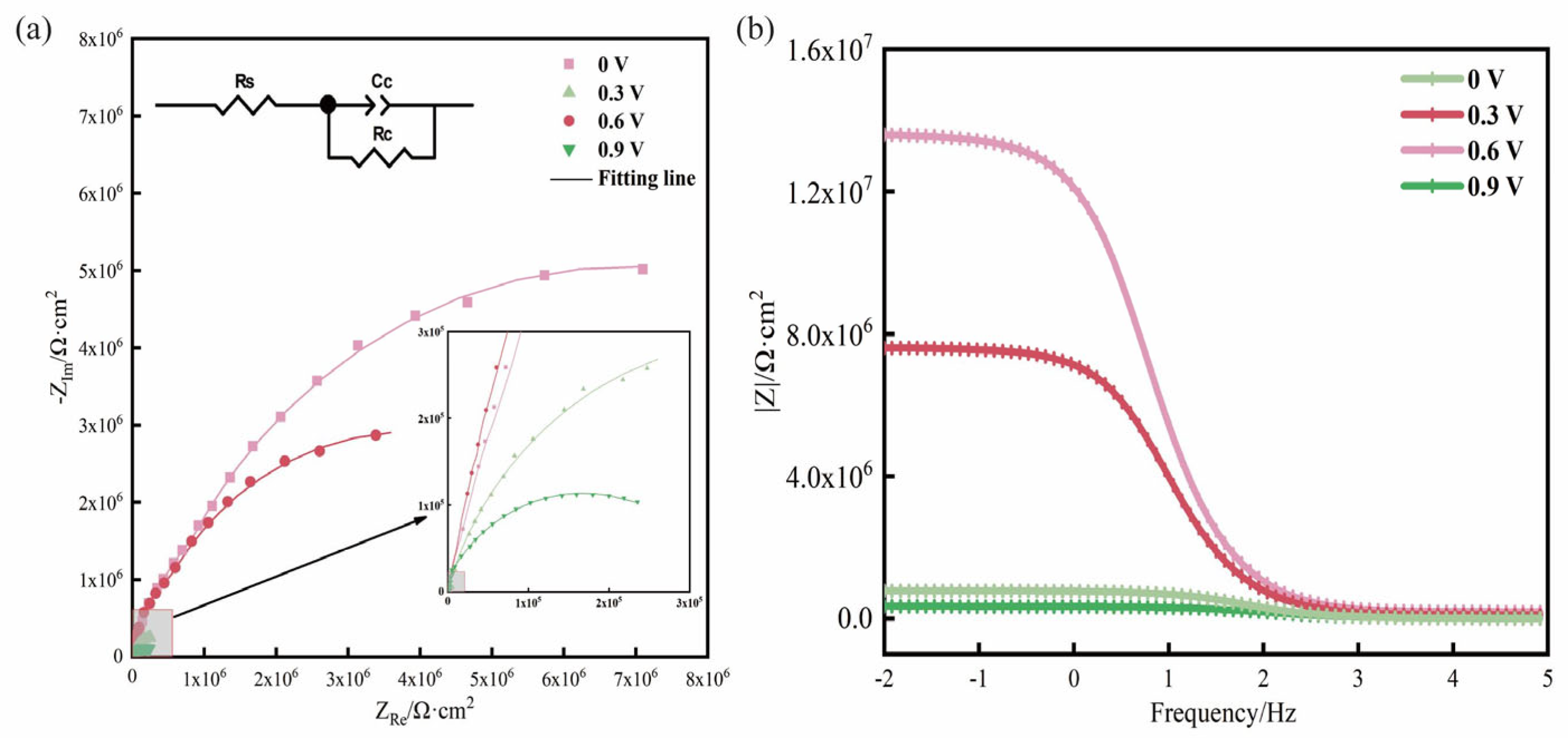 Coatings 14 00524 g006