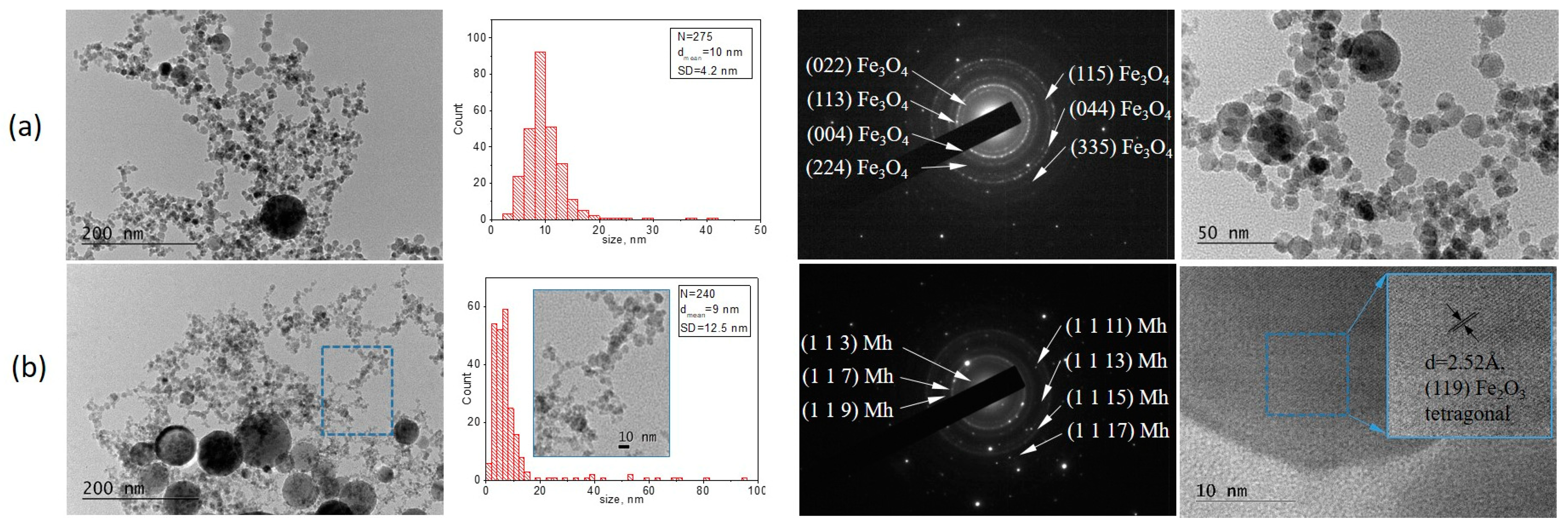 Coatings 14 00527 g003