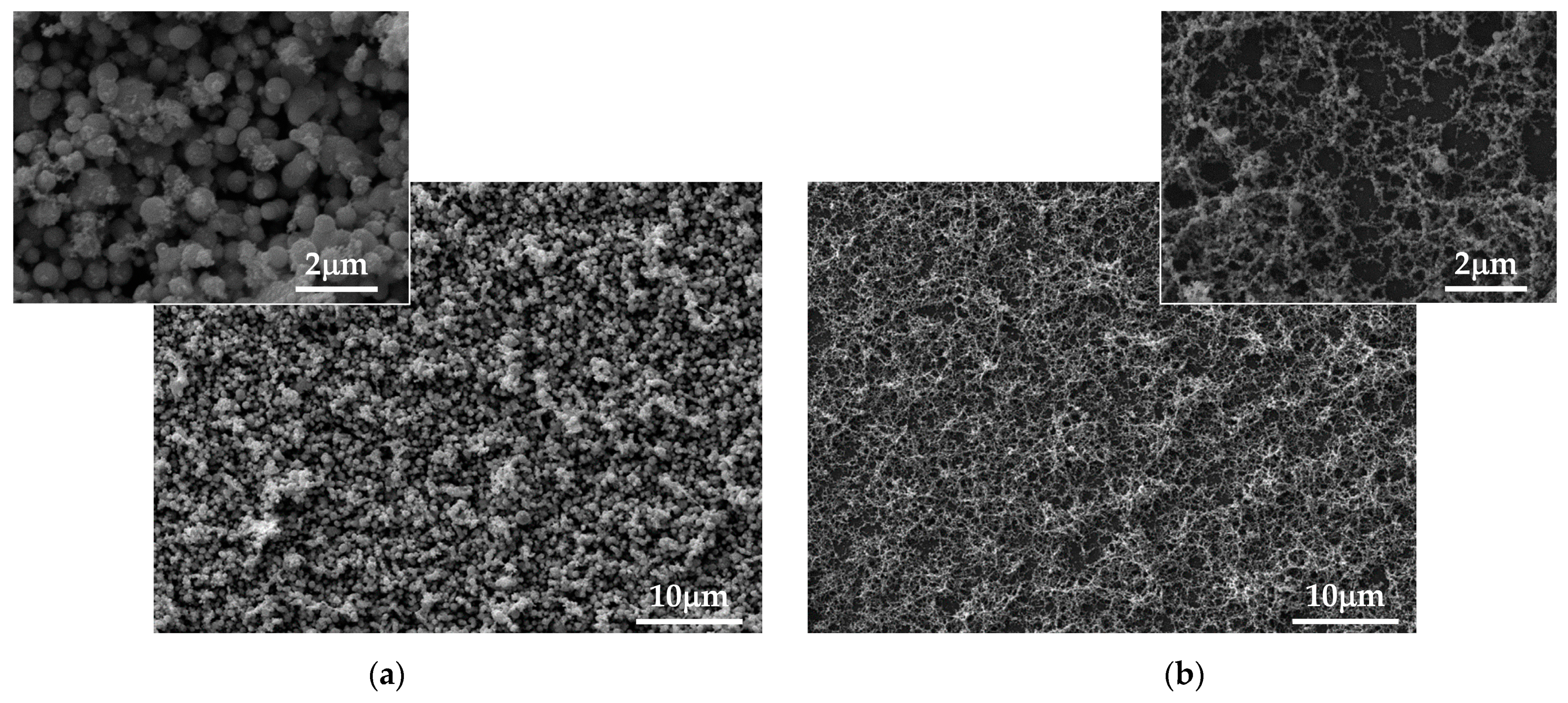 Coatings 14 00527 g007