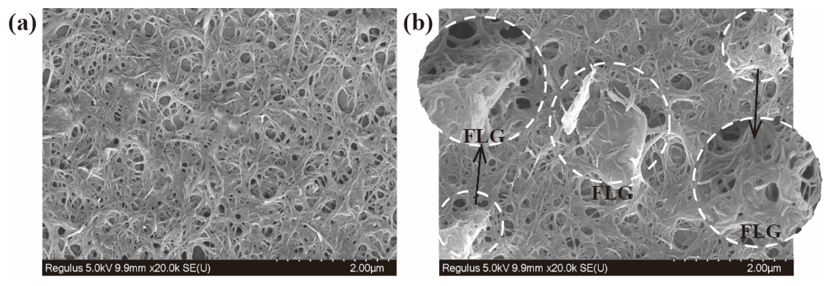 Coatings 14 00561 g004