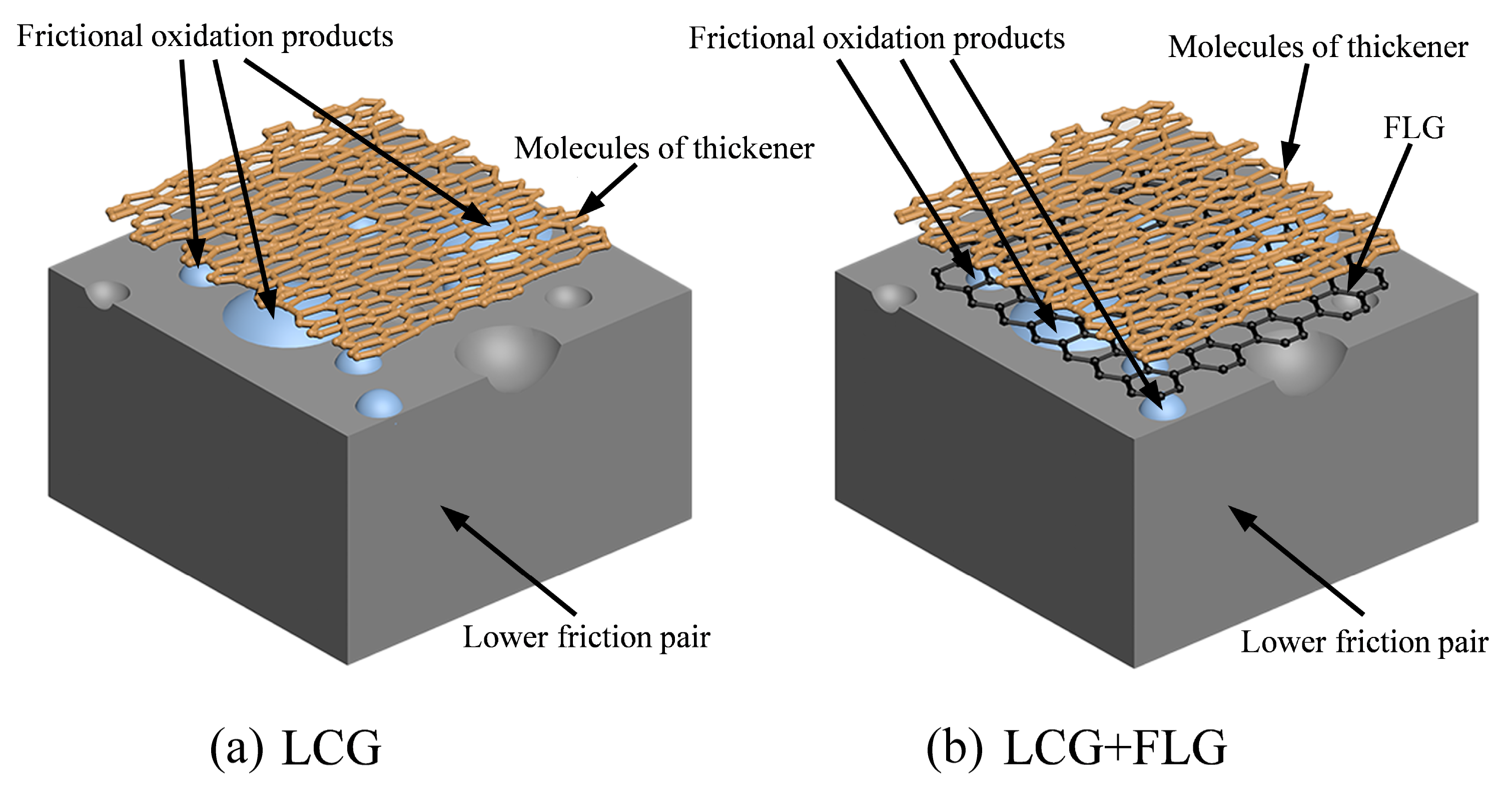 Coatings 14 00561 g014