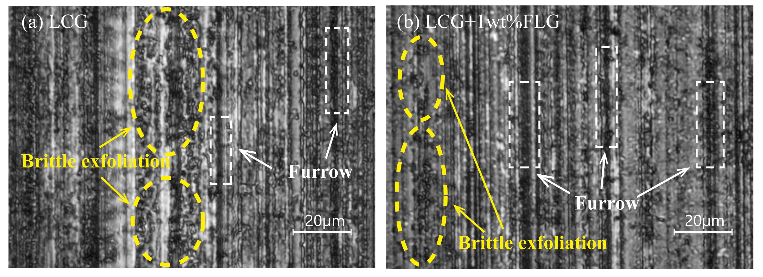 Coatings 14 00561 g015