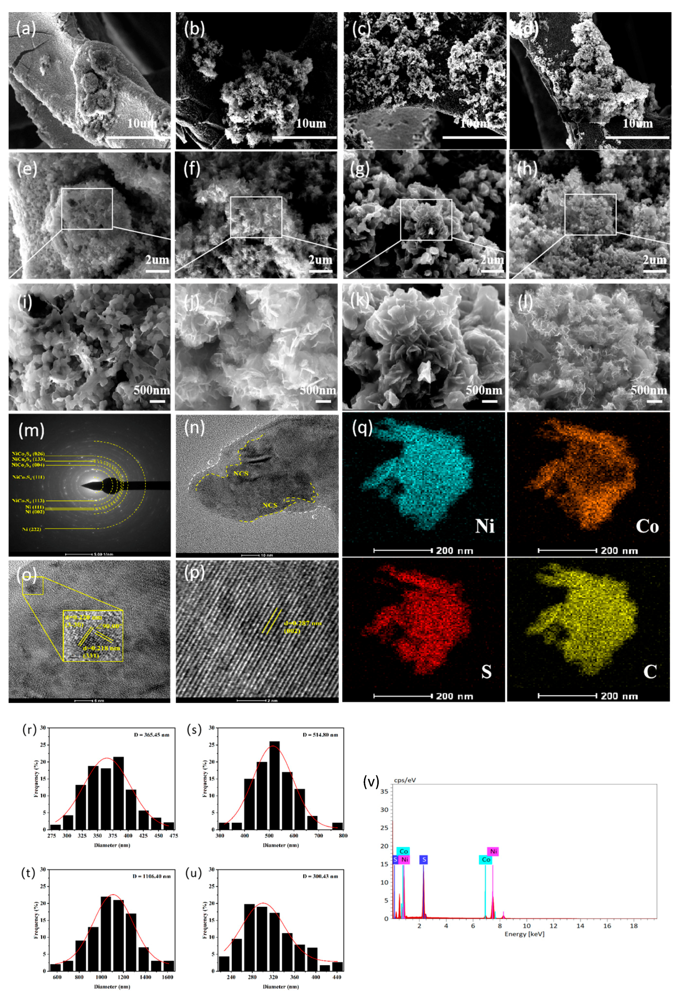 Coatings 14 00564 g005