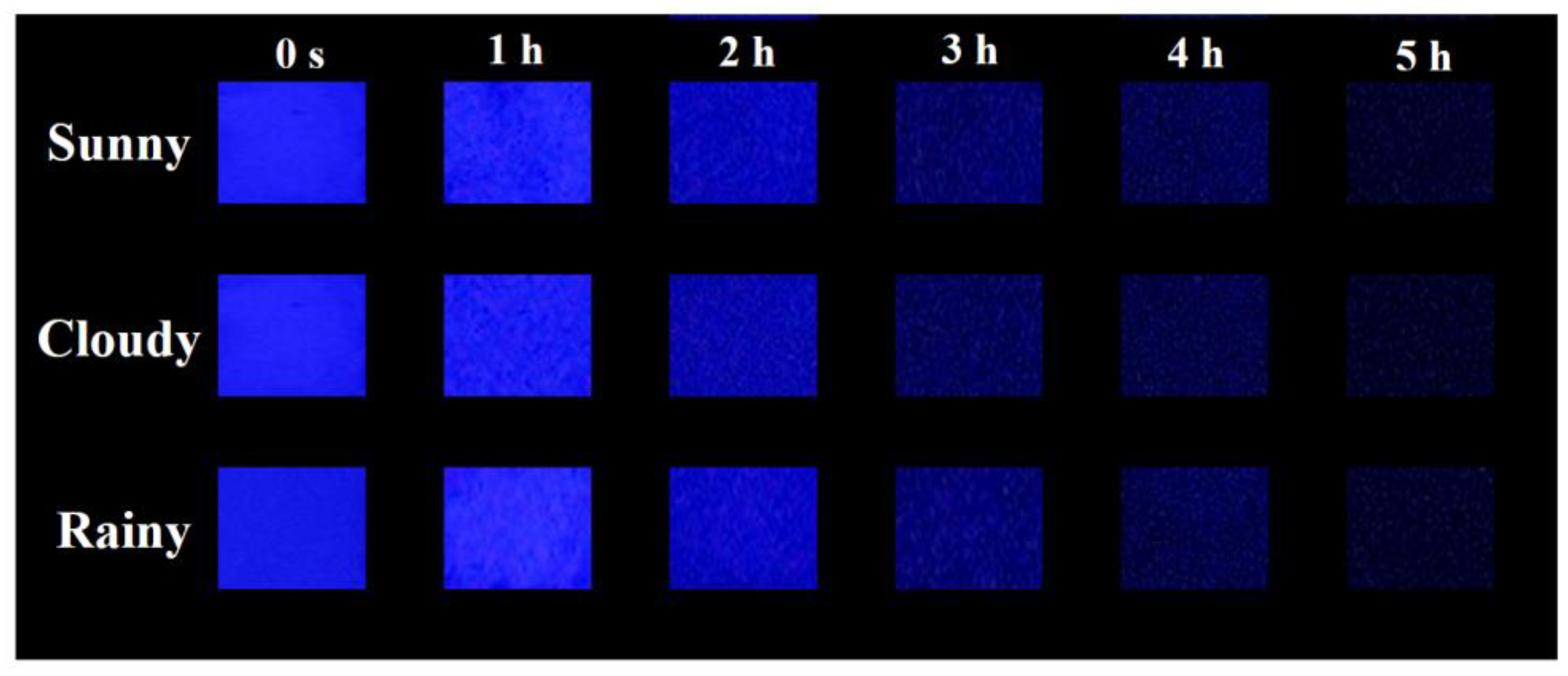 Coatings 14 00566 g012
