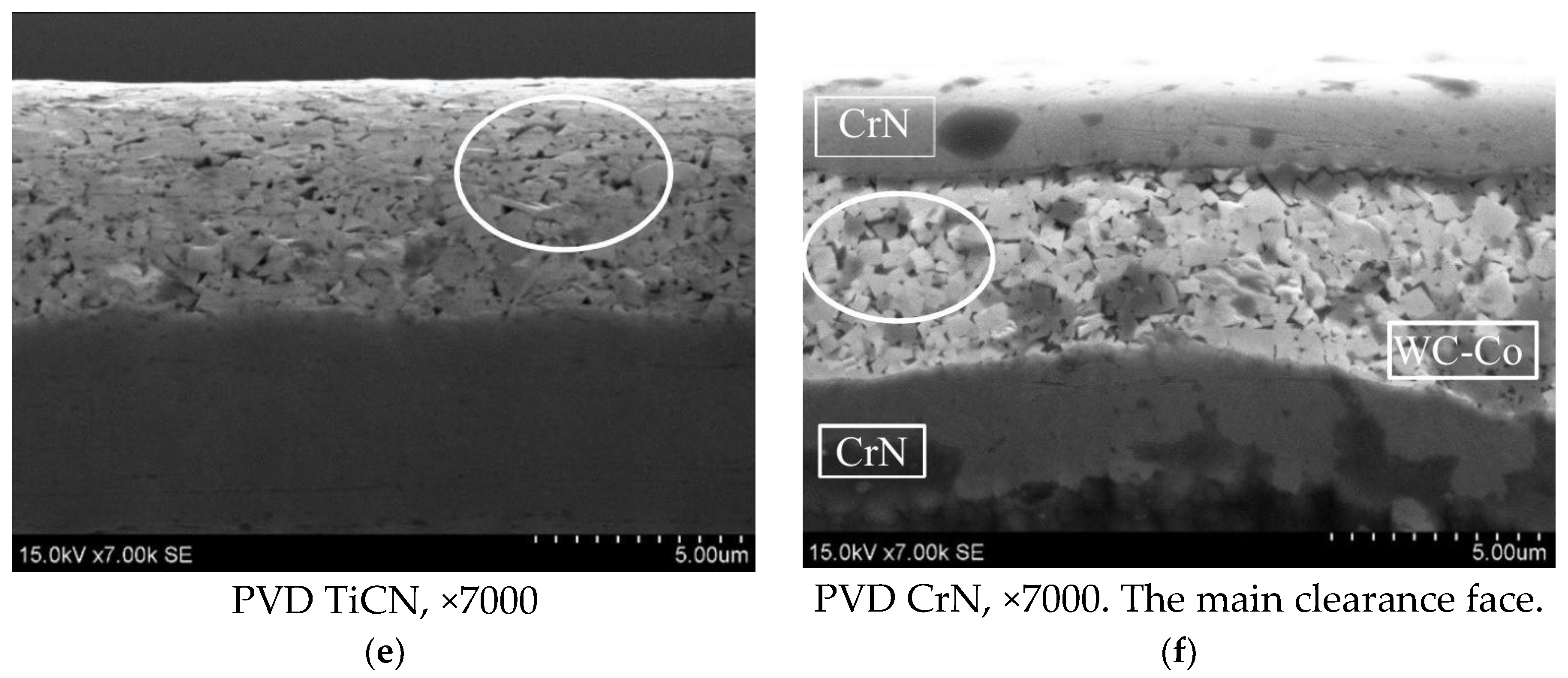 Coatings 14 00569 g006b