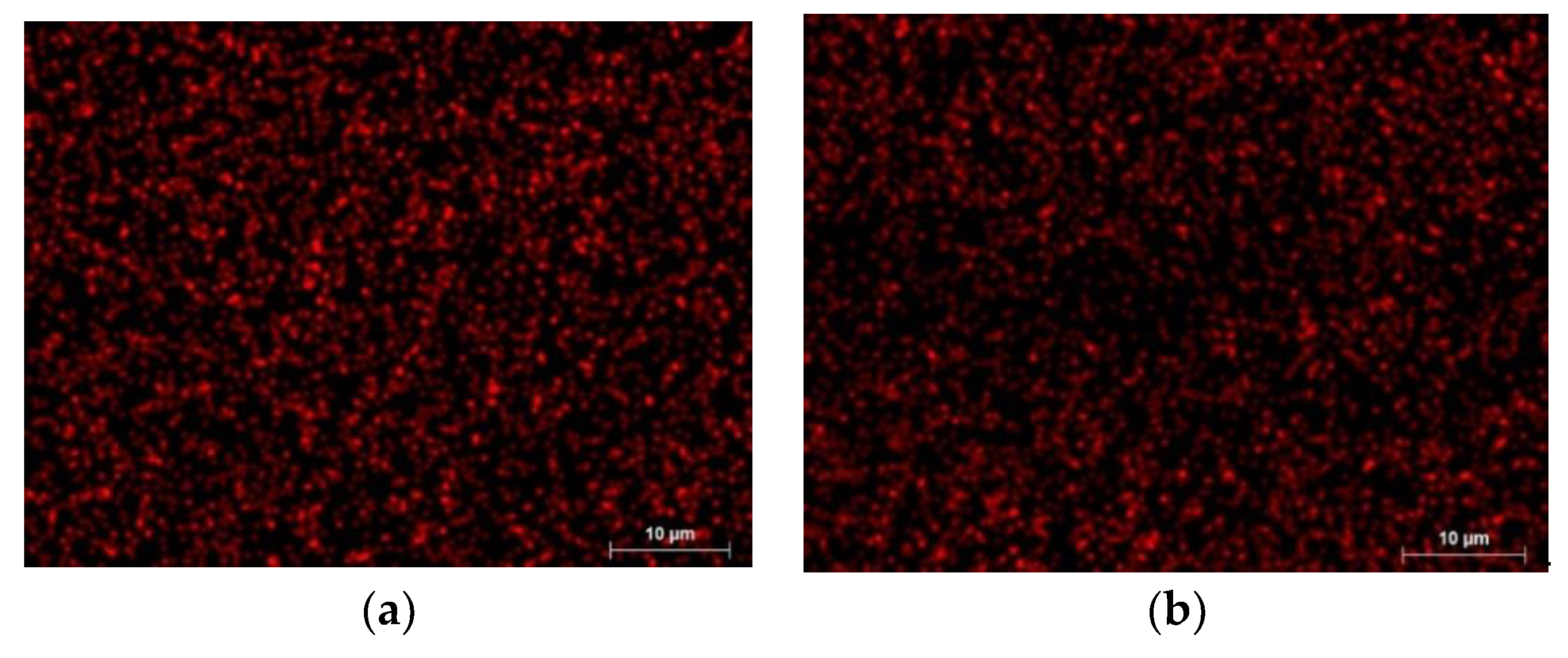 Coatings 14 00569 g007