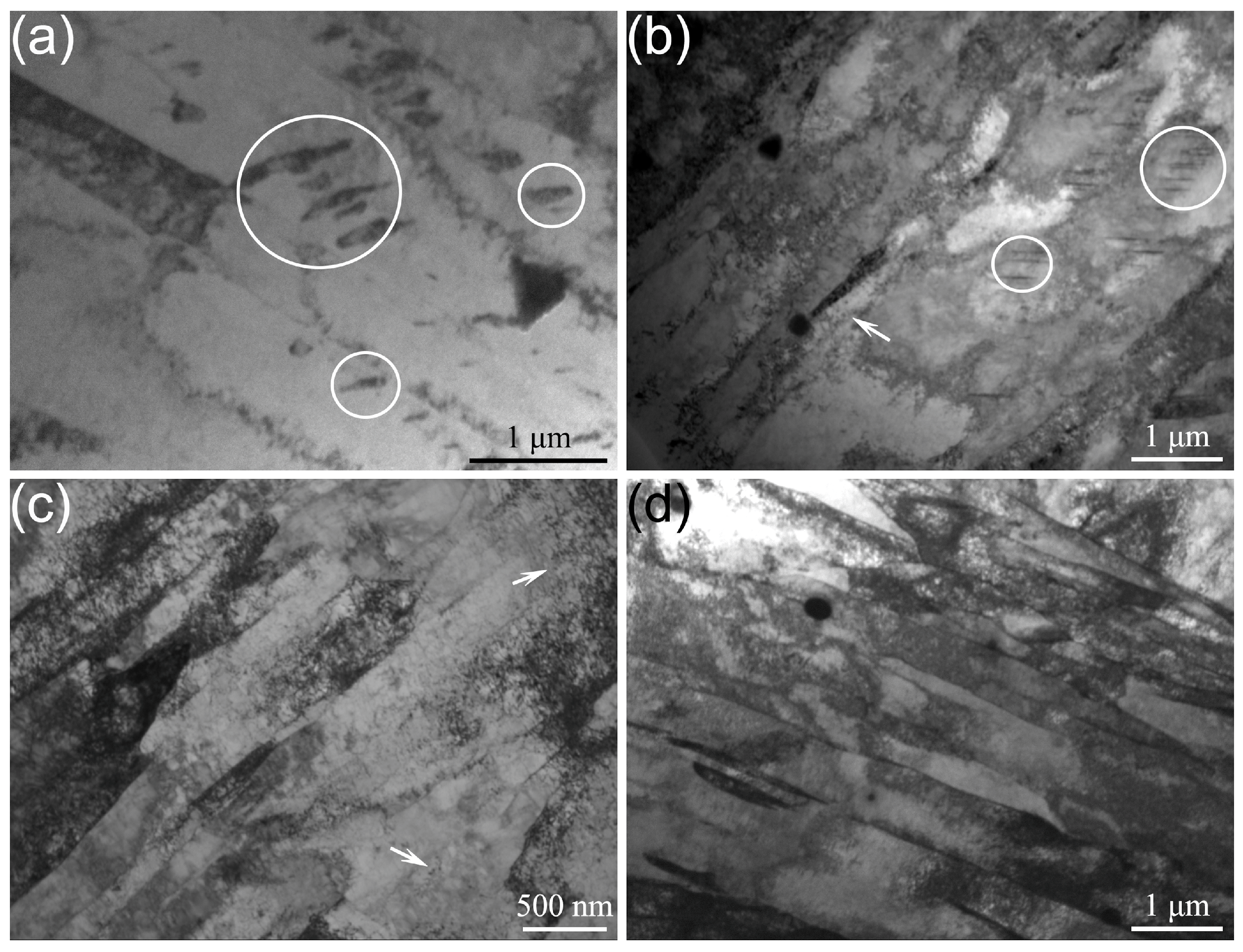 Coatings 14 00572 g003