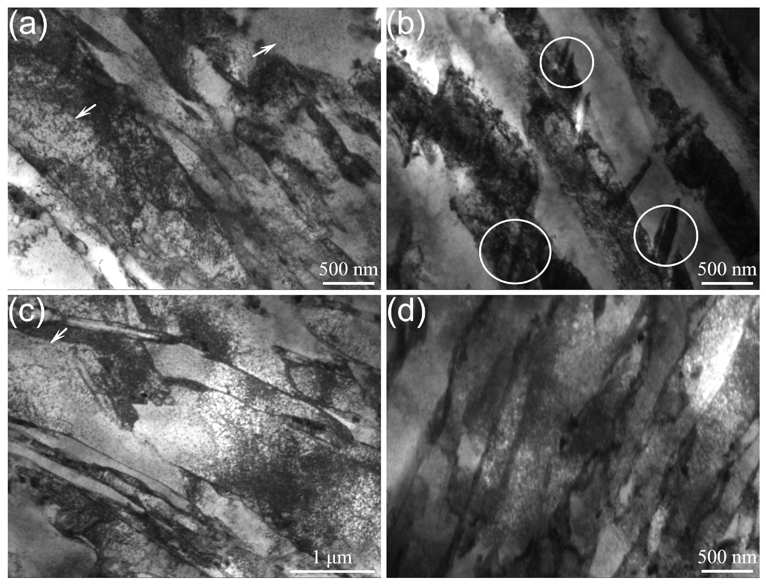 Coatings 14 00572 g004