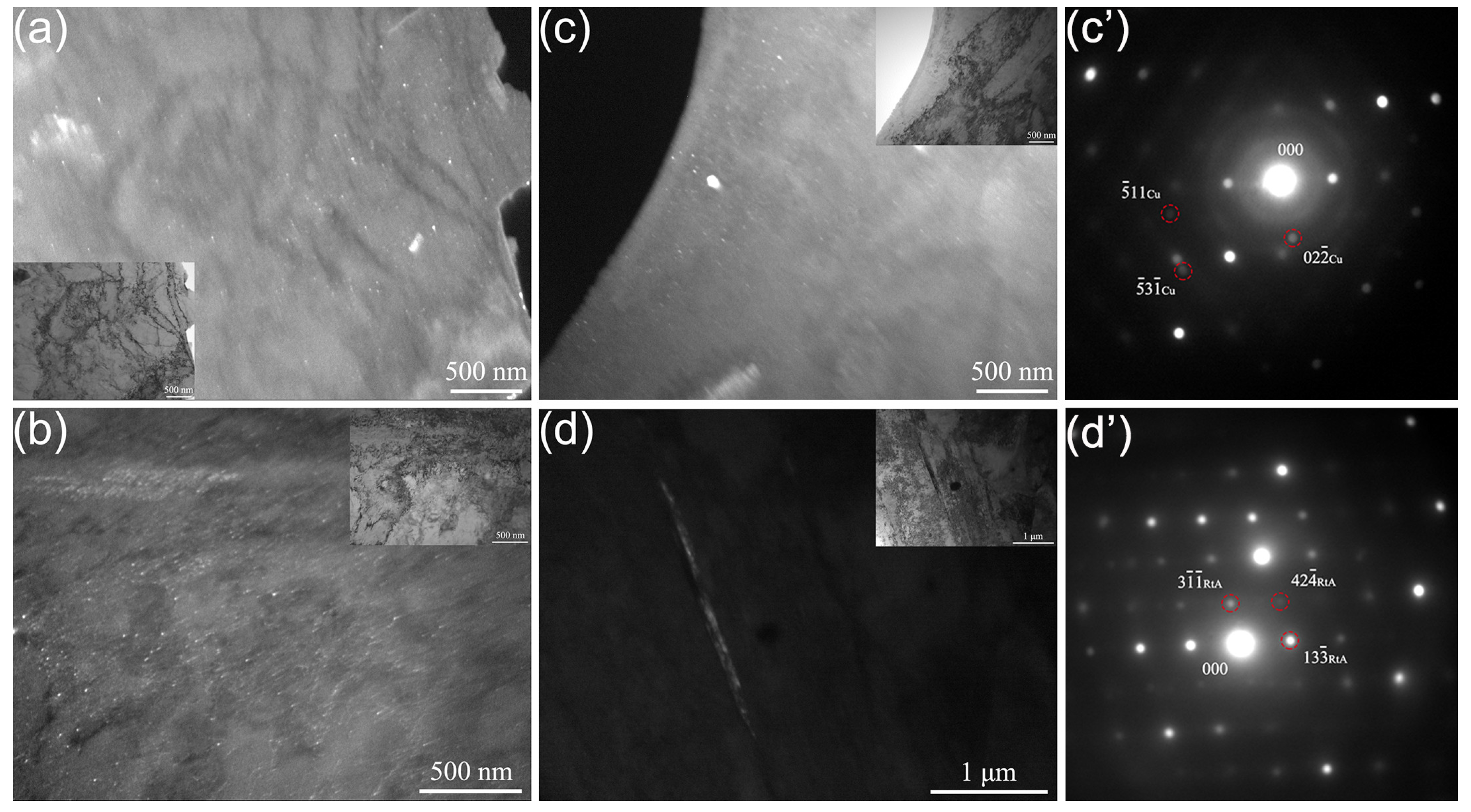 Coatings 14 00572 g005