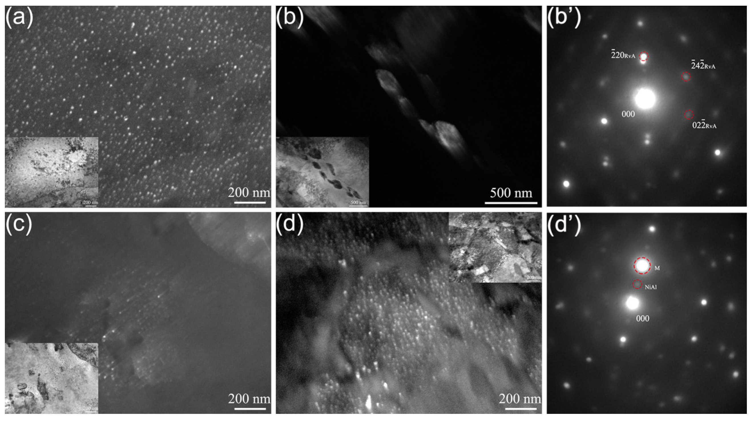 Coatings 14 00572 g006