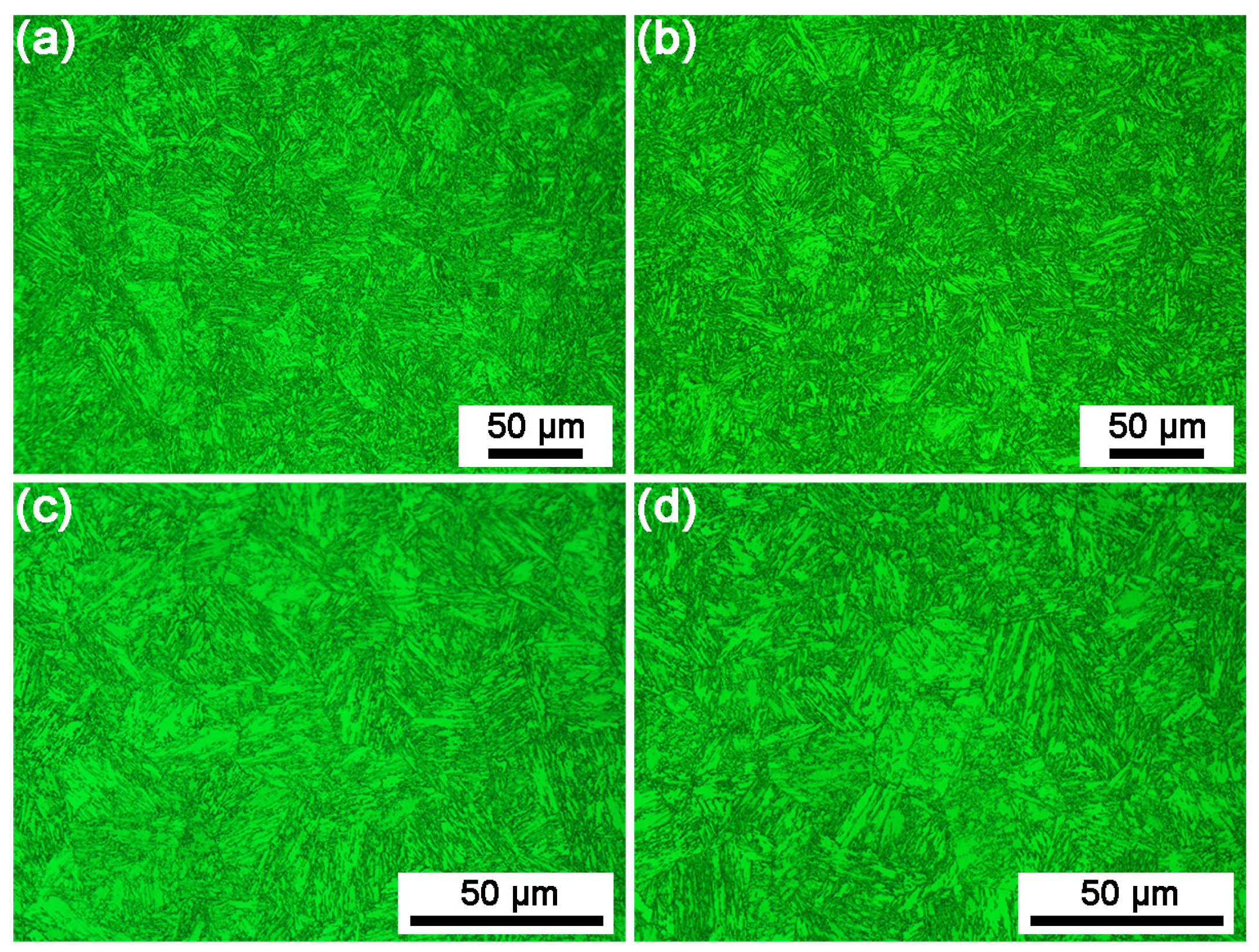 Coatings 14 00572 g008