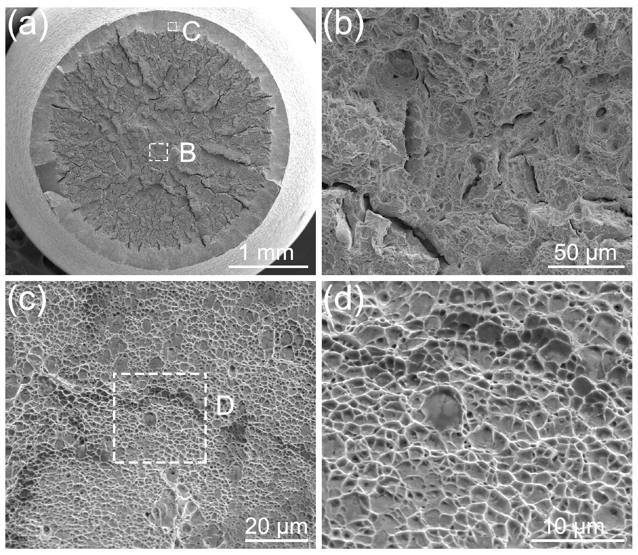Coatings 14 00572 g012