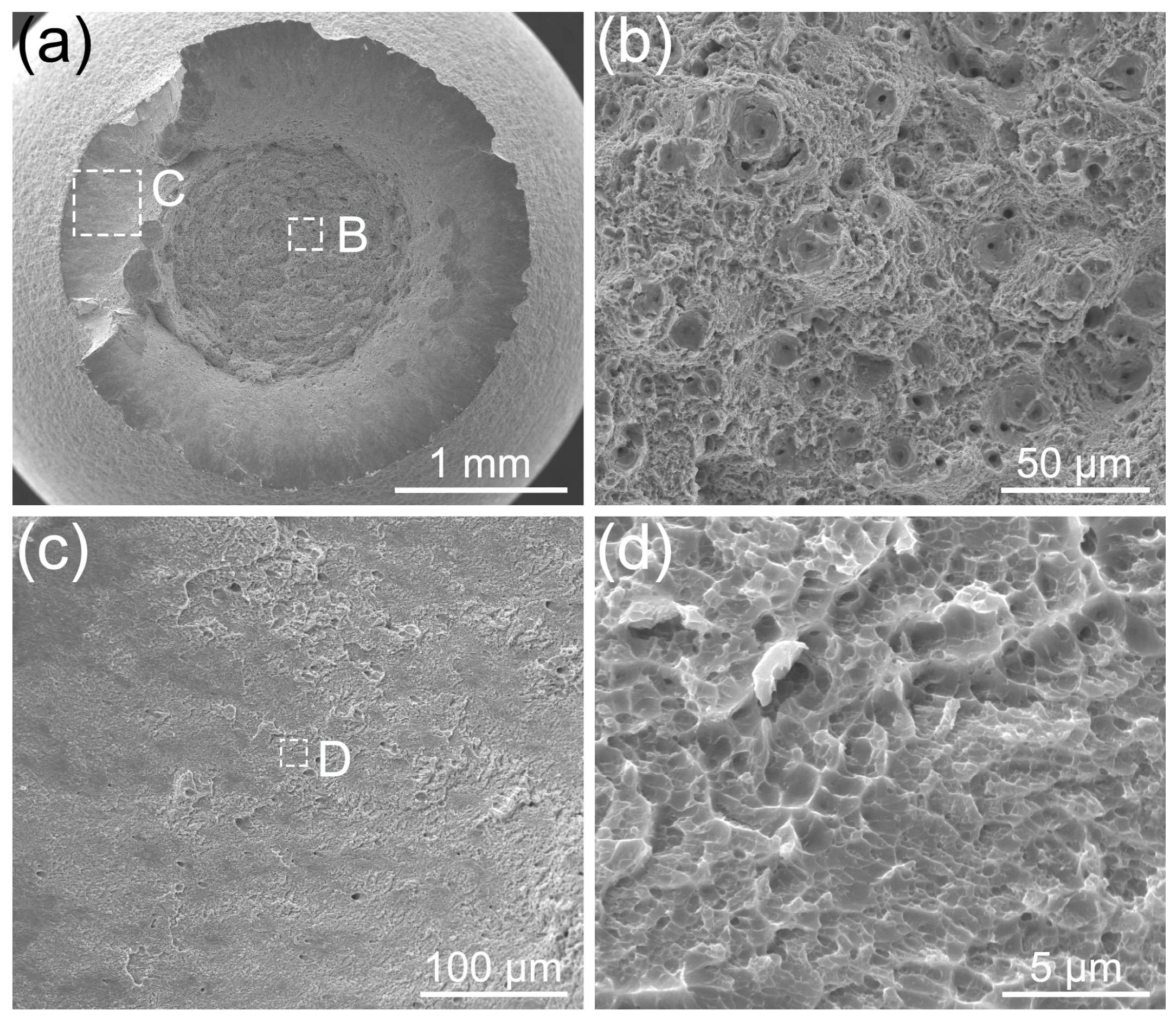 Coatings 14 00572 g013