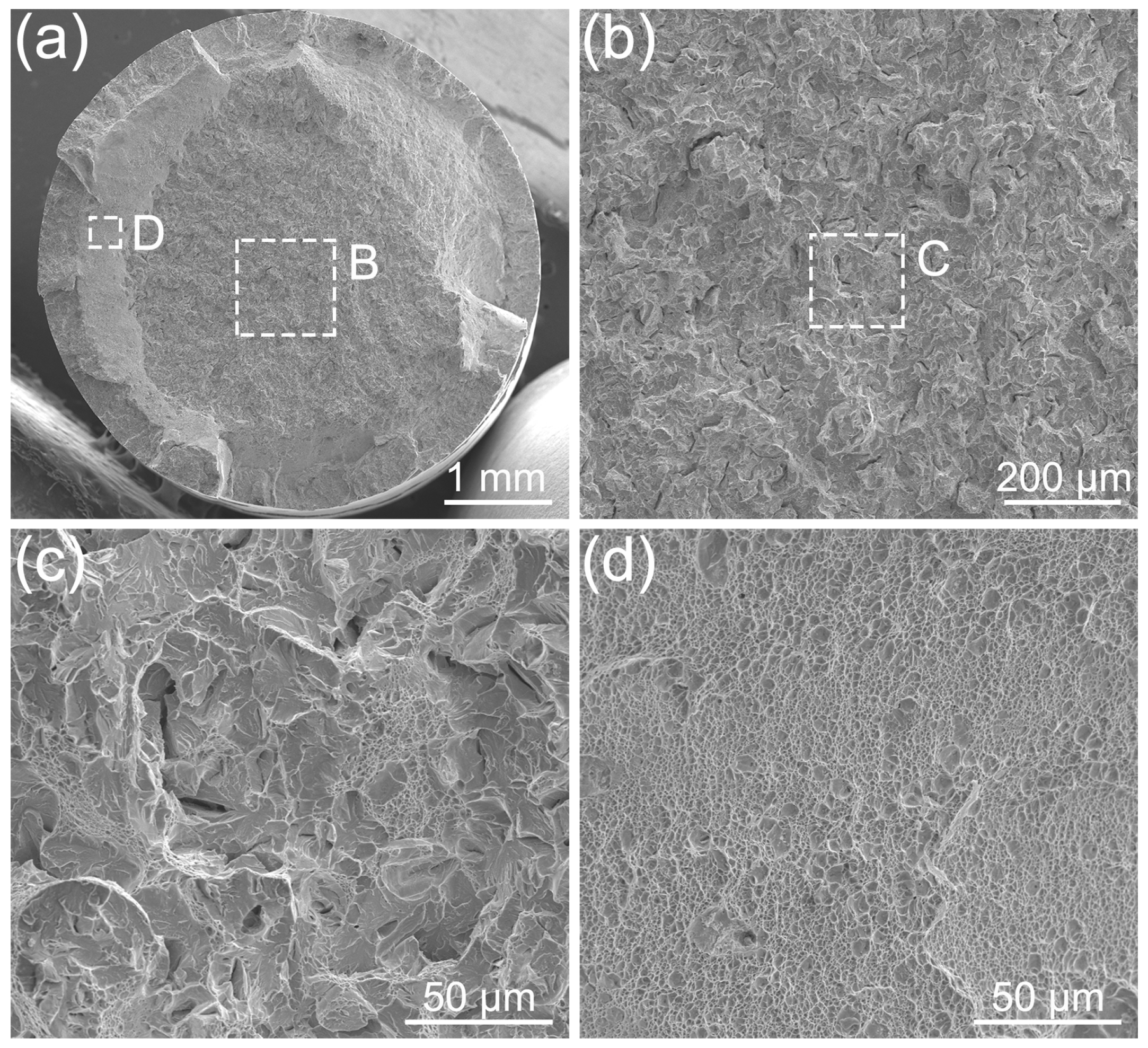Coatings 14 00572 g014