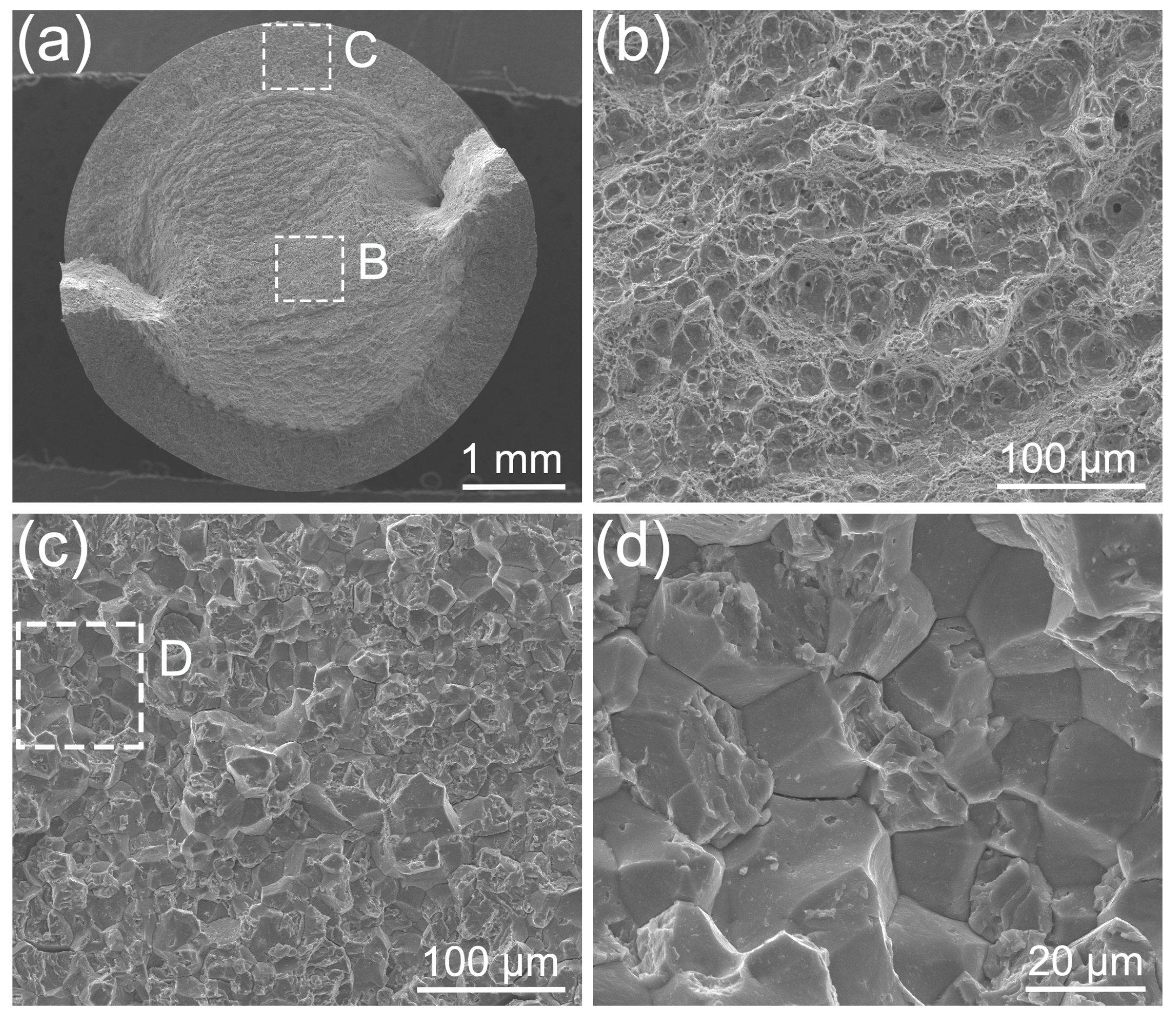 Coatings 14 00572 g015