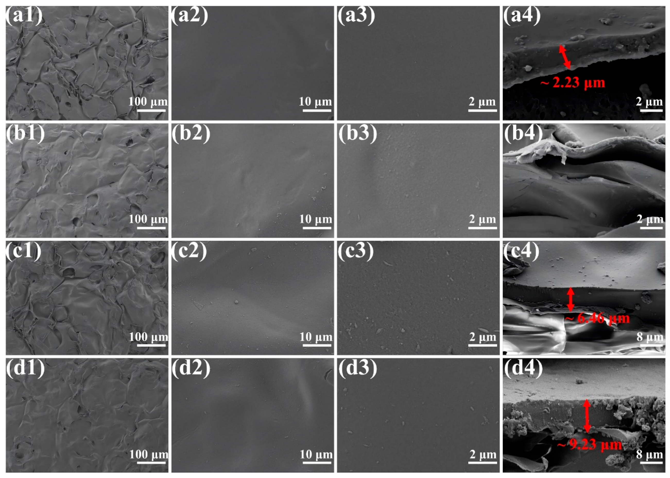 Coatings 14 00574 g003