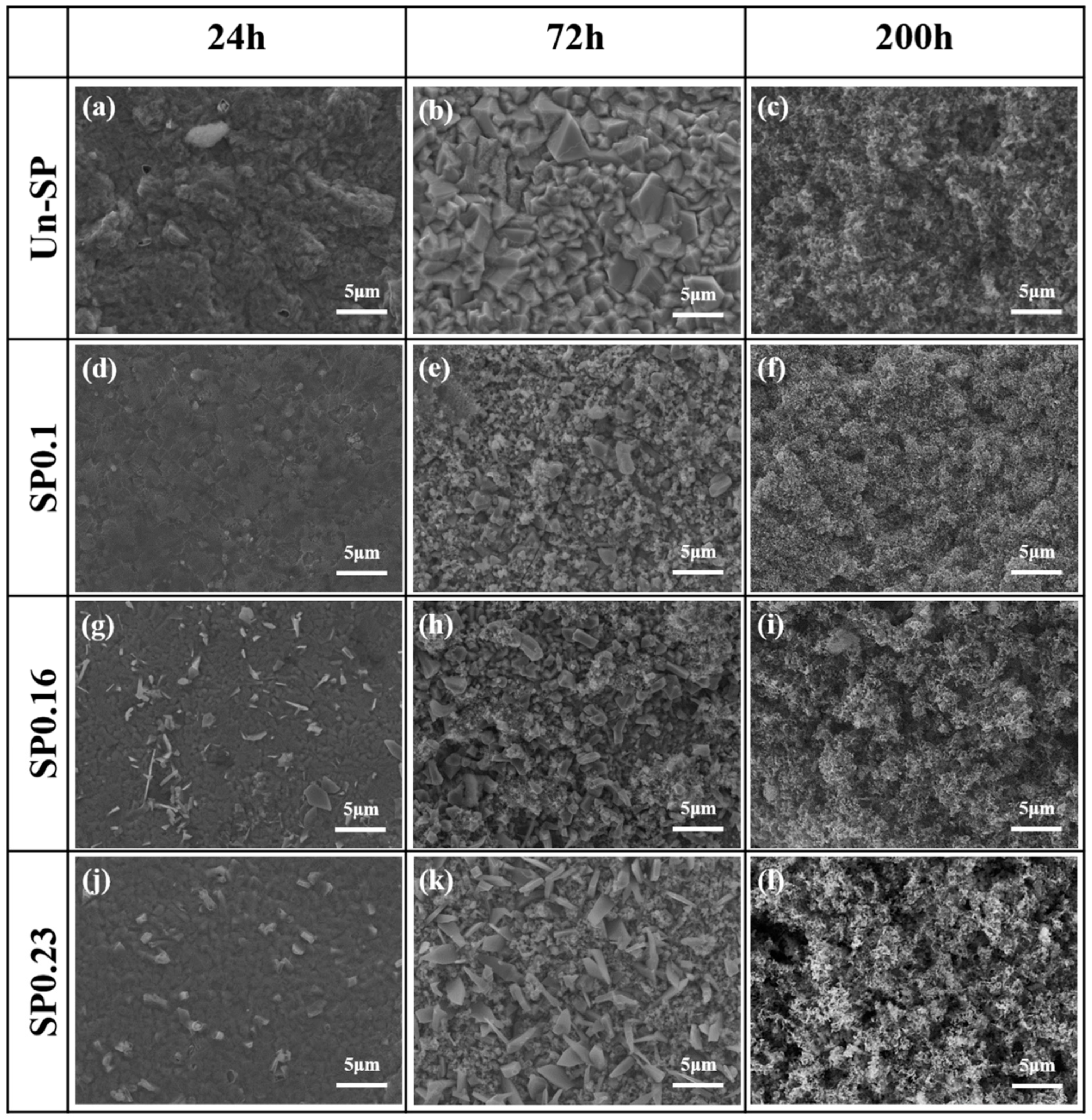 Coatings 14 00575 g004
