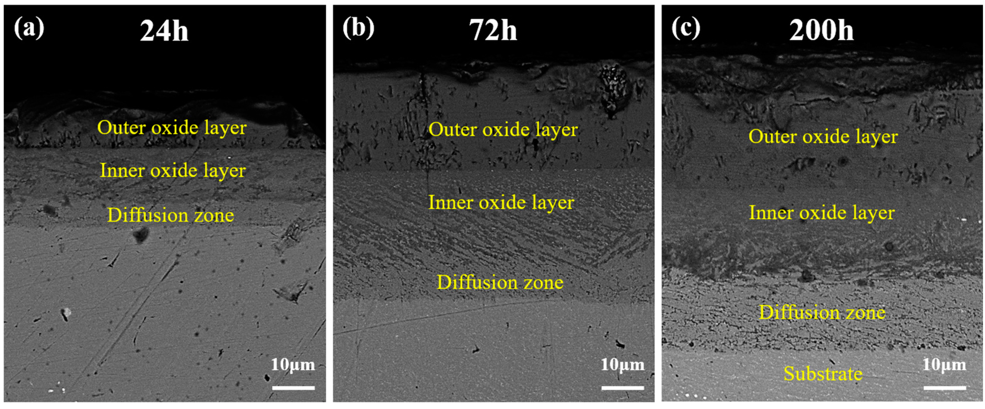 Coatings 14 00575 g007