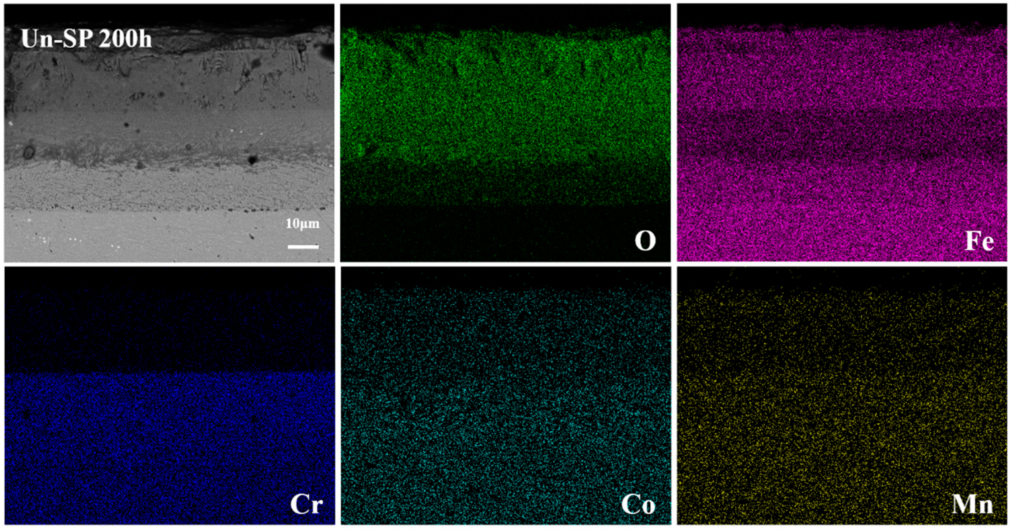 Coatings 14 00575 g008