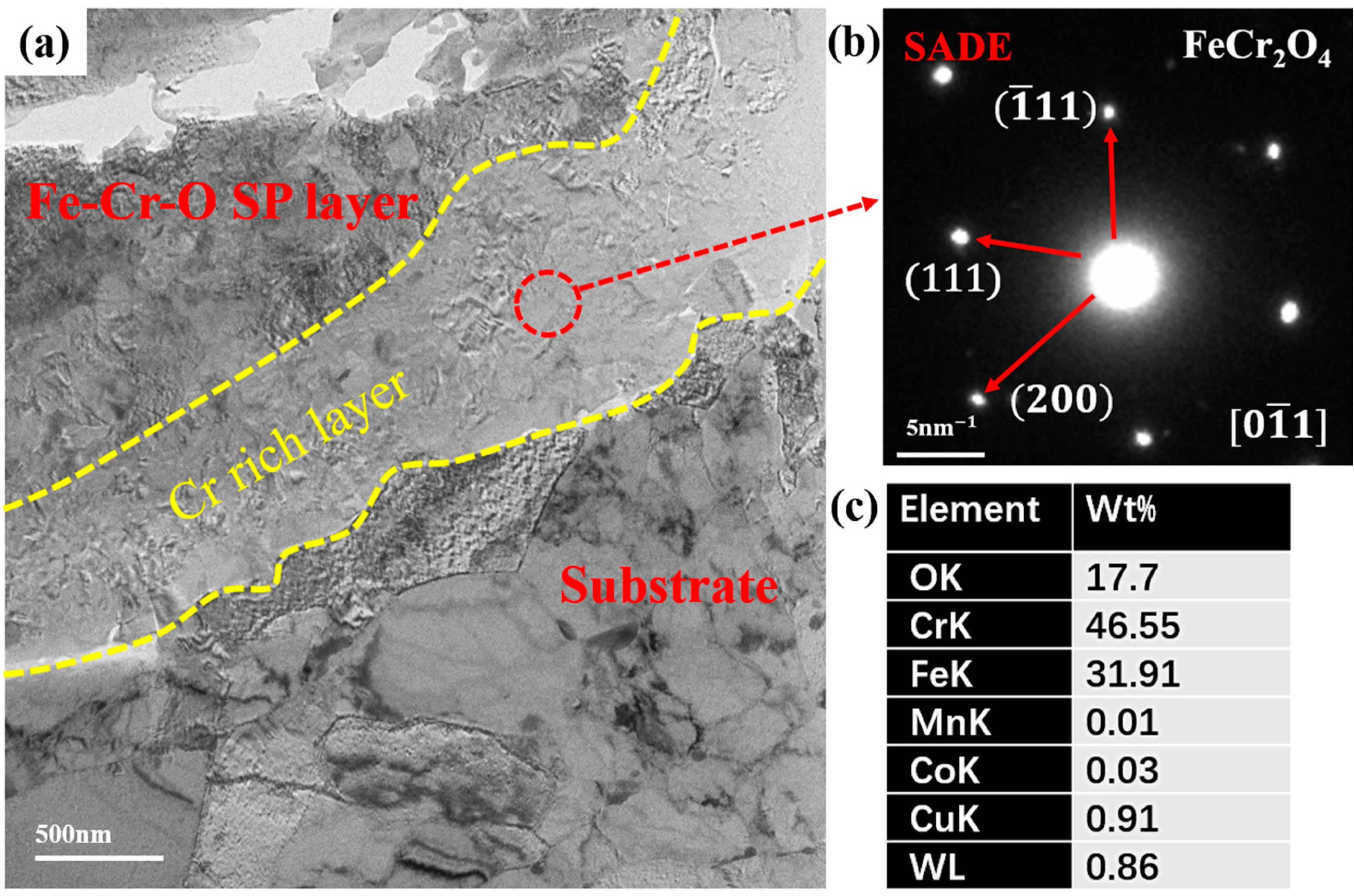 Coatings 14 00575 g011