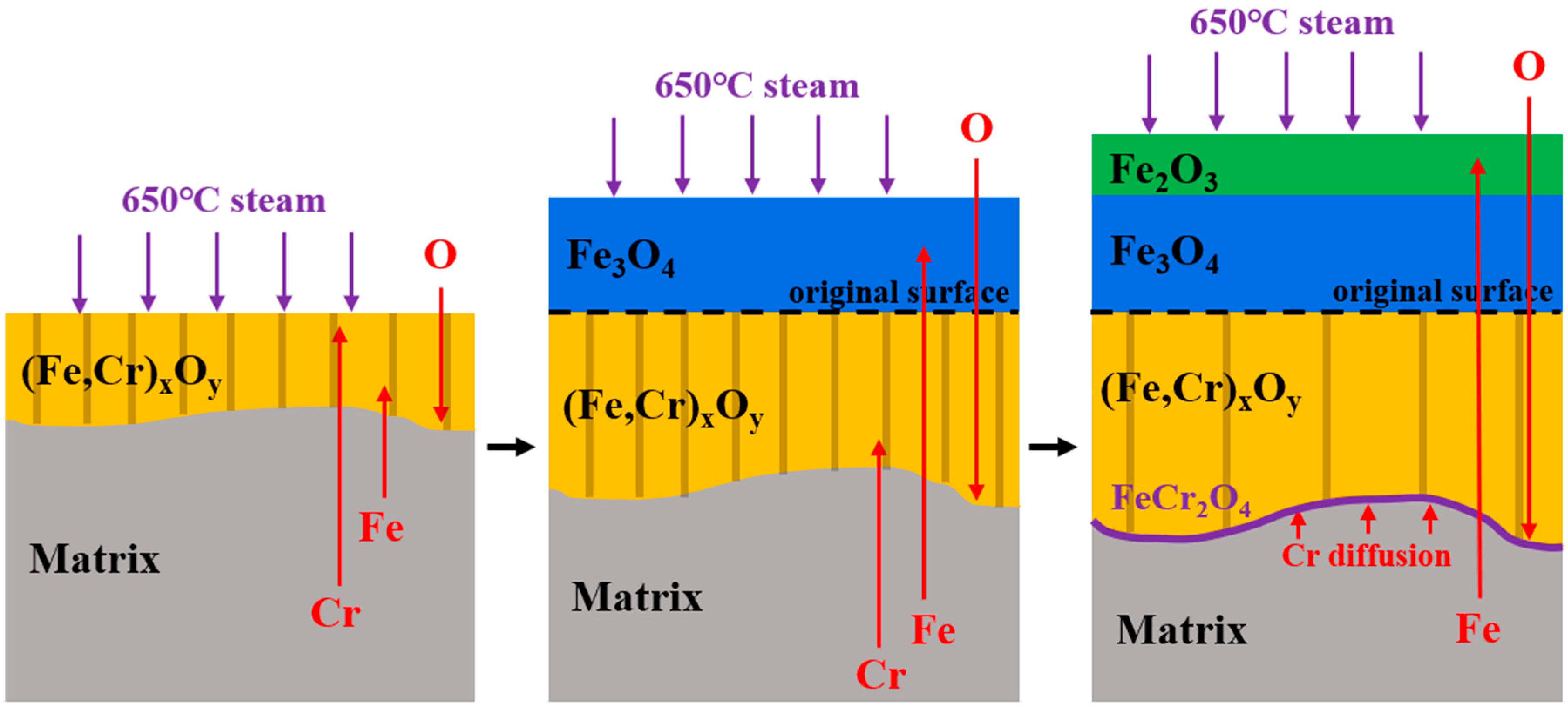 Coatings 14 00575 g015