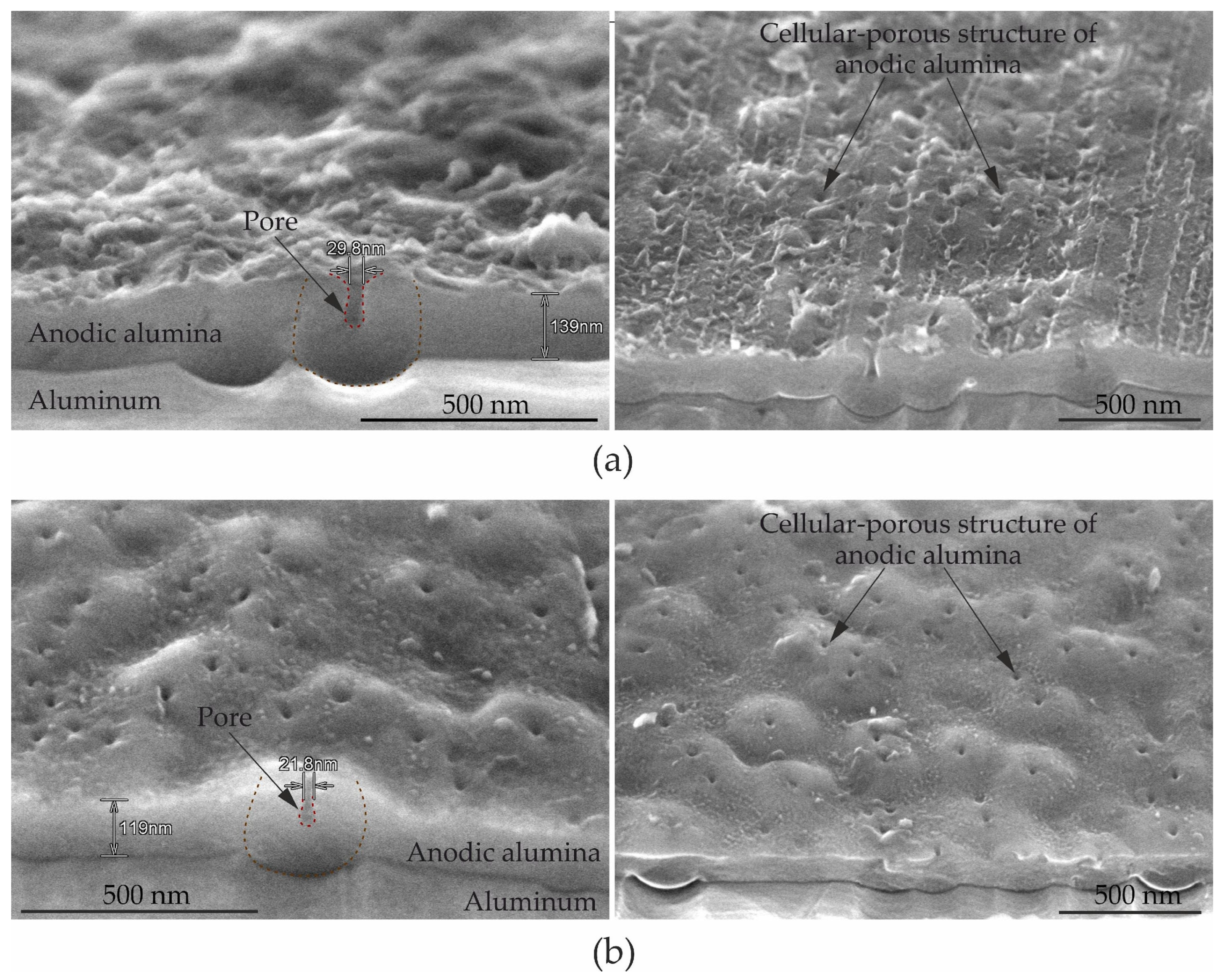 Coatings 14 00576 g009