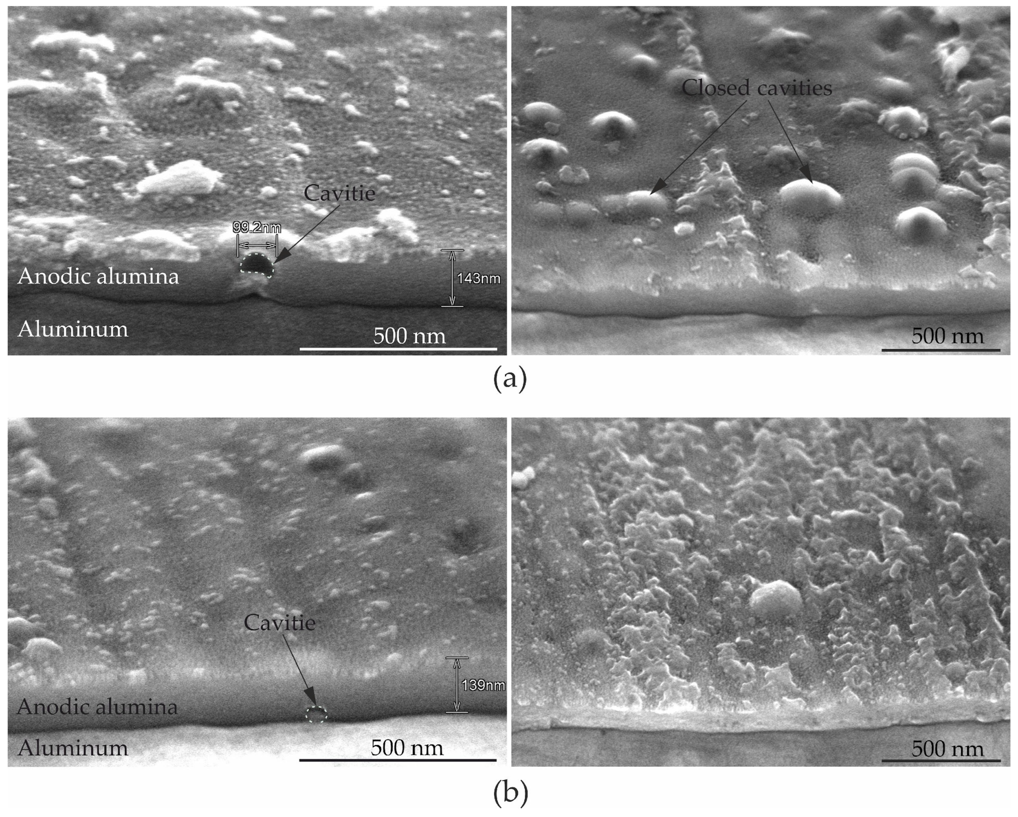 Coatings 14 00576 g010