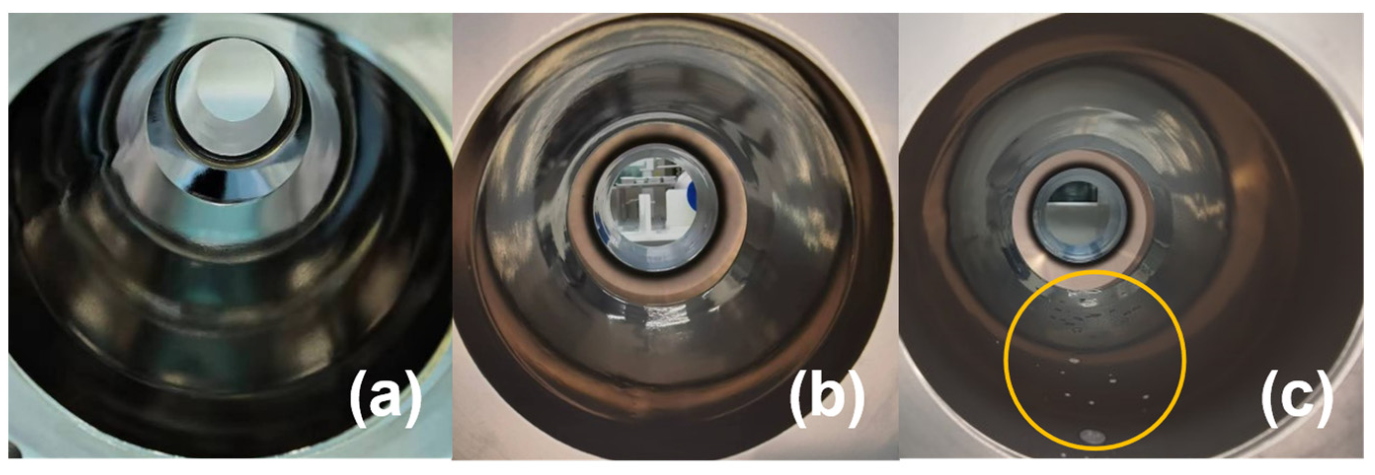 Coatings 14 00581 g007