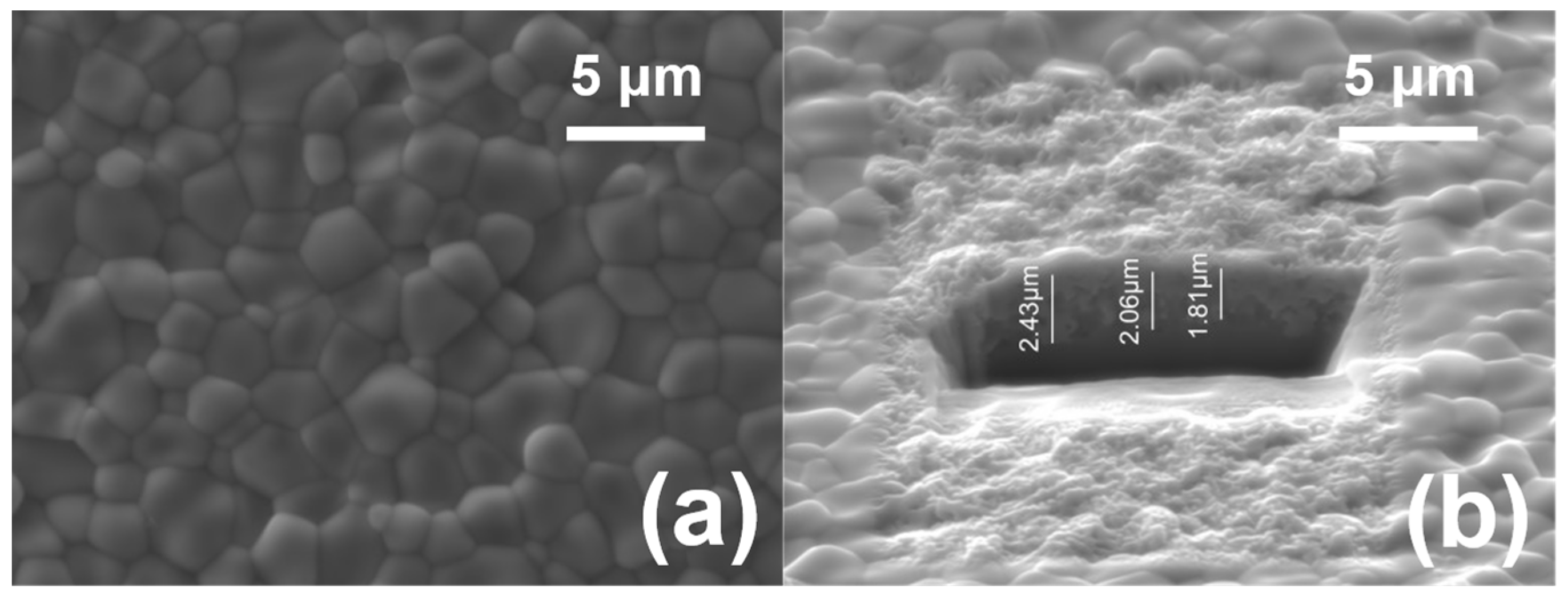 Coatings 14 00581 g012