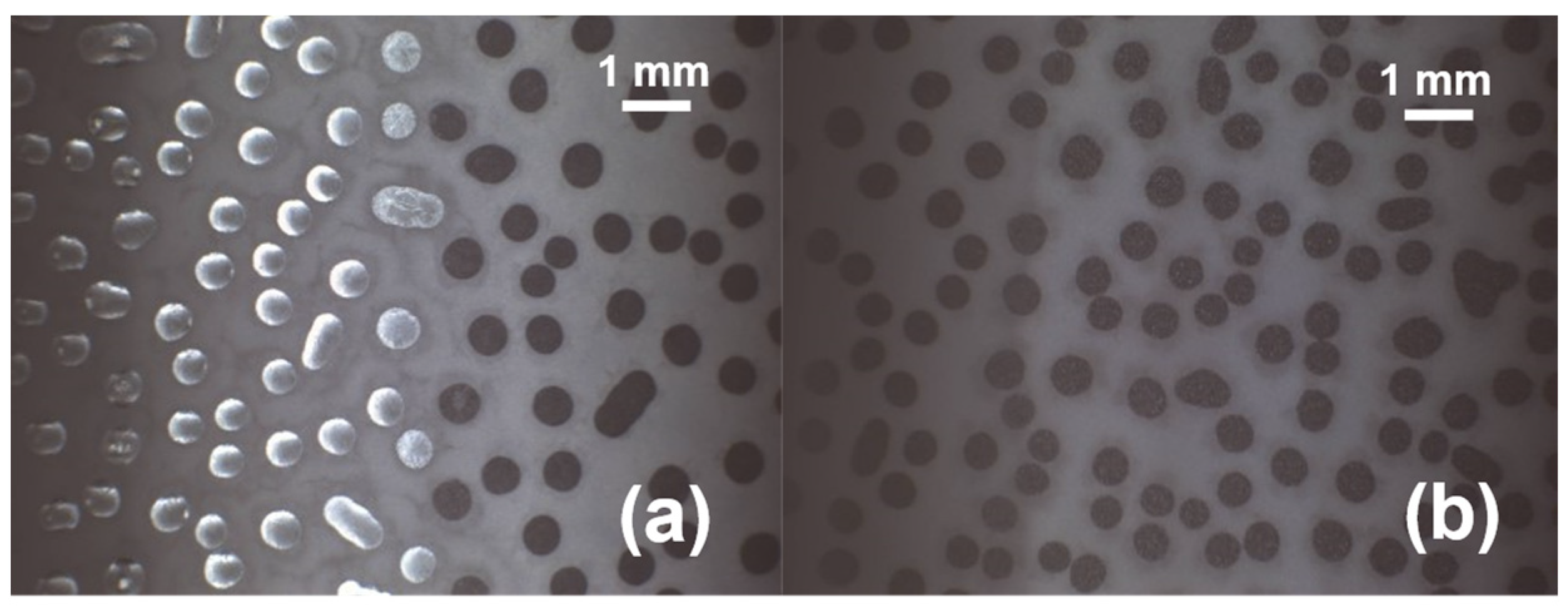 Coatings 14 00581 g014