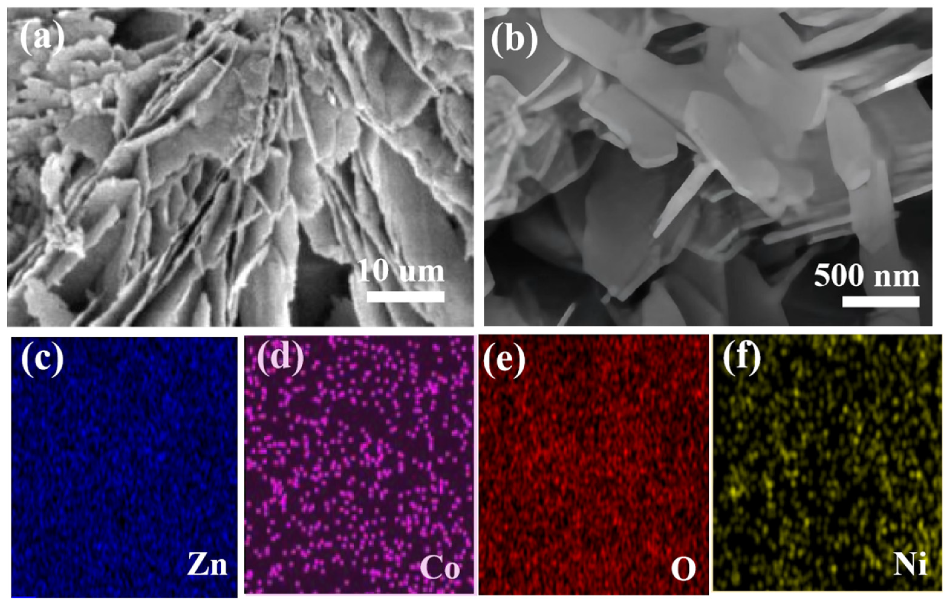 Coatings 14 00584 g002