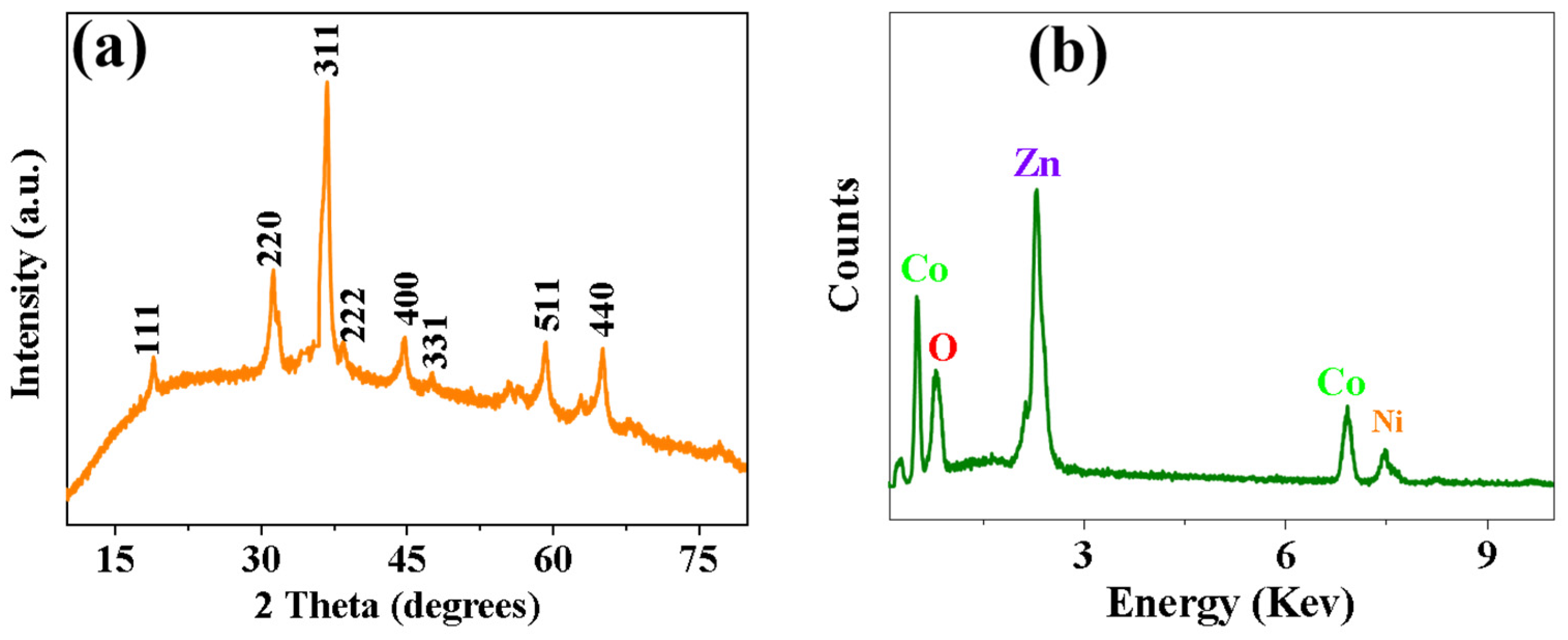 Coatings 14 00584 g004
