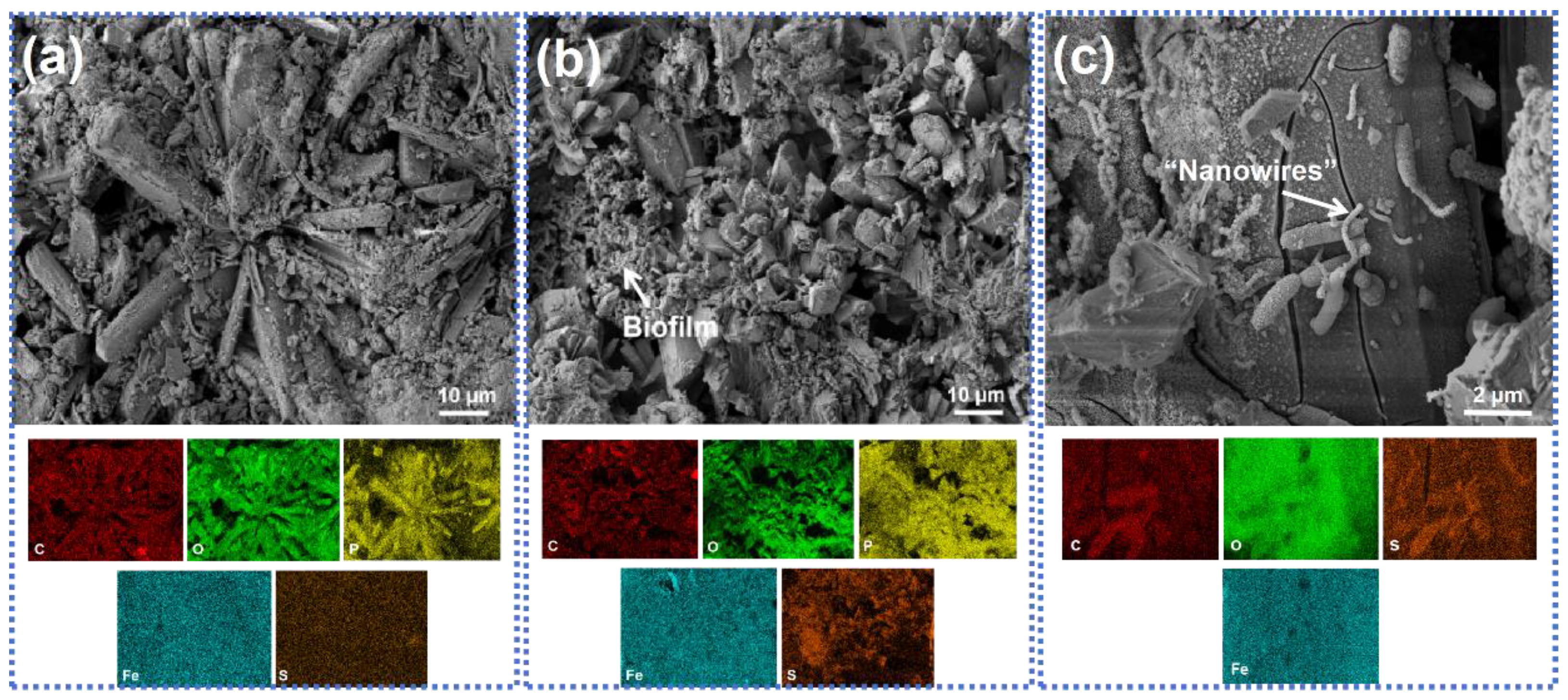 Coatings 14 00592 g004