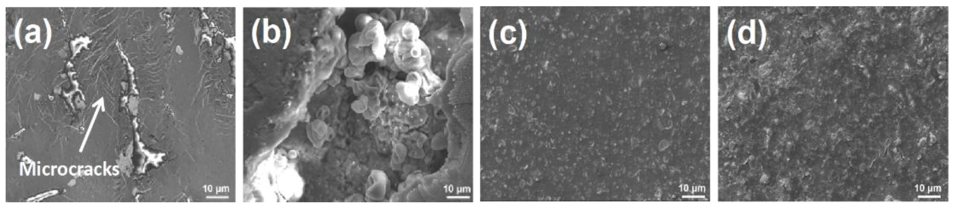 Coatings 14 00592 g006